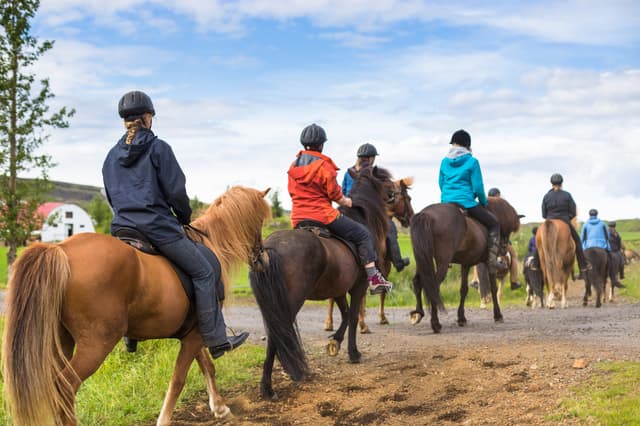 Group of horseback riders in Iceland. Travel beautiful country Group of horseback riders ride  in Iceland