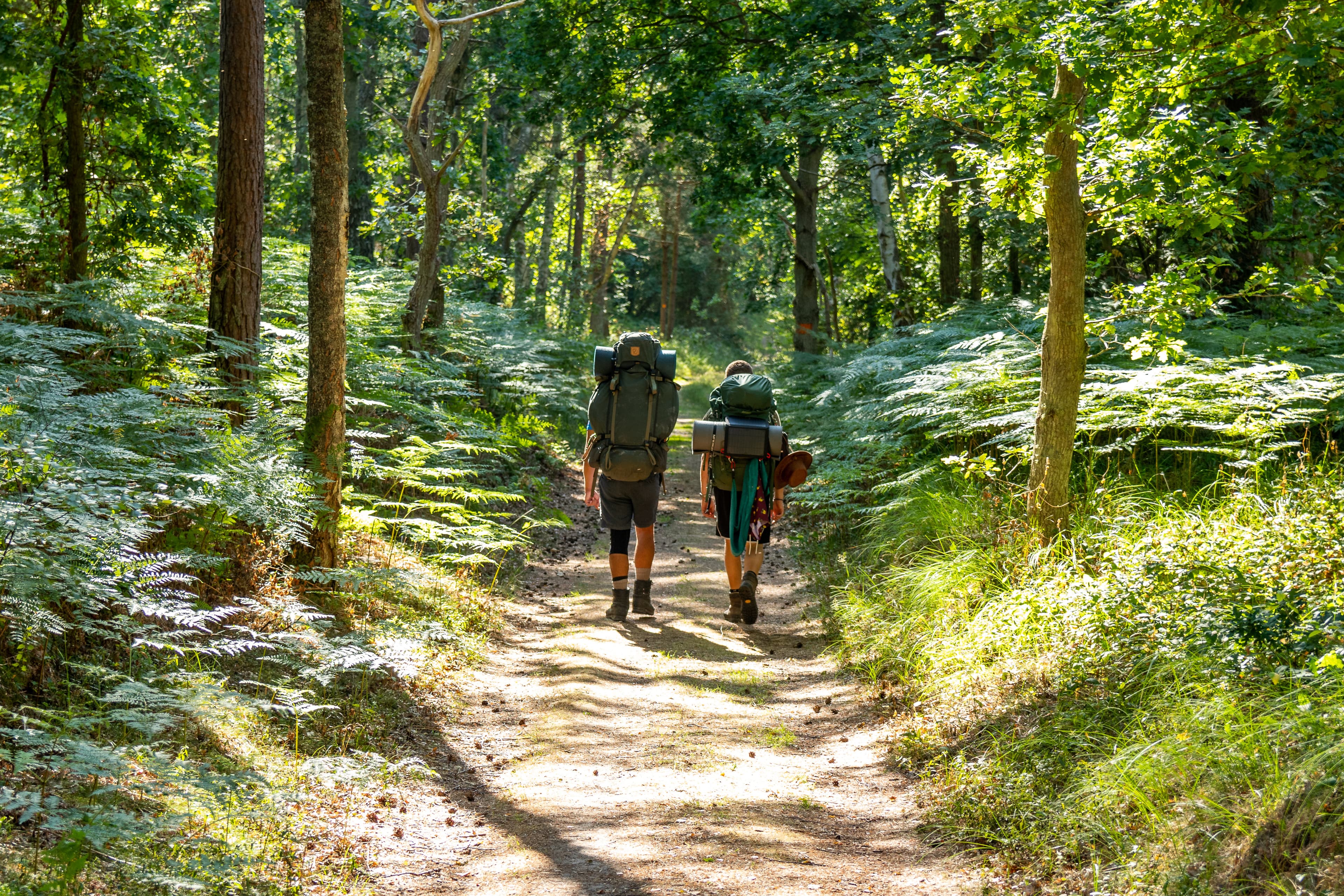 Two young adults hiking along a straight part of "Skåneleden" in Scania, Sweden