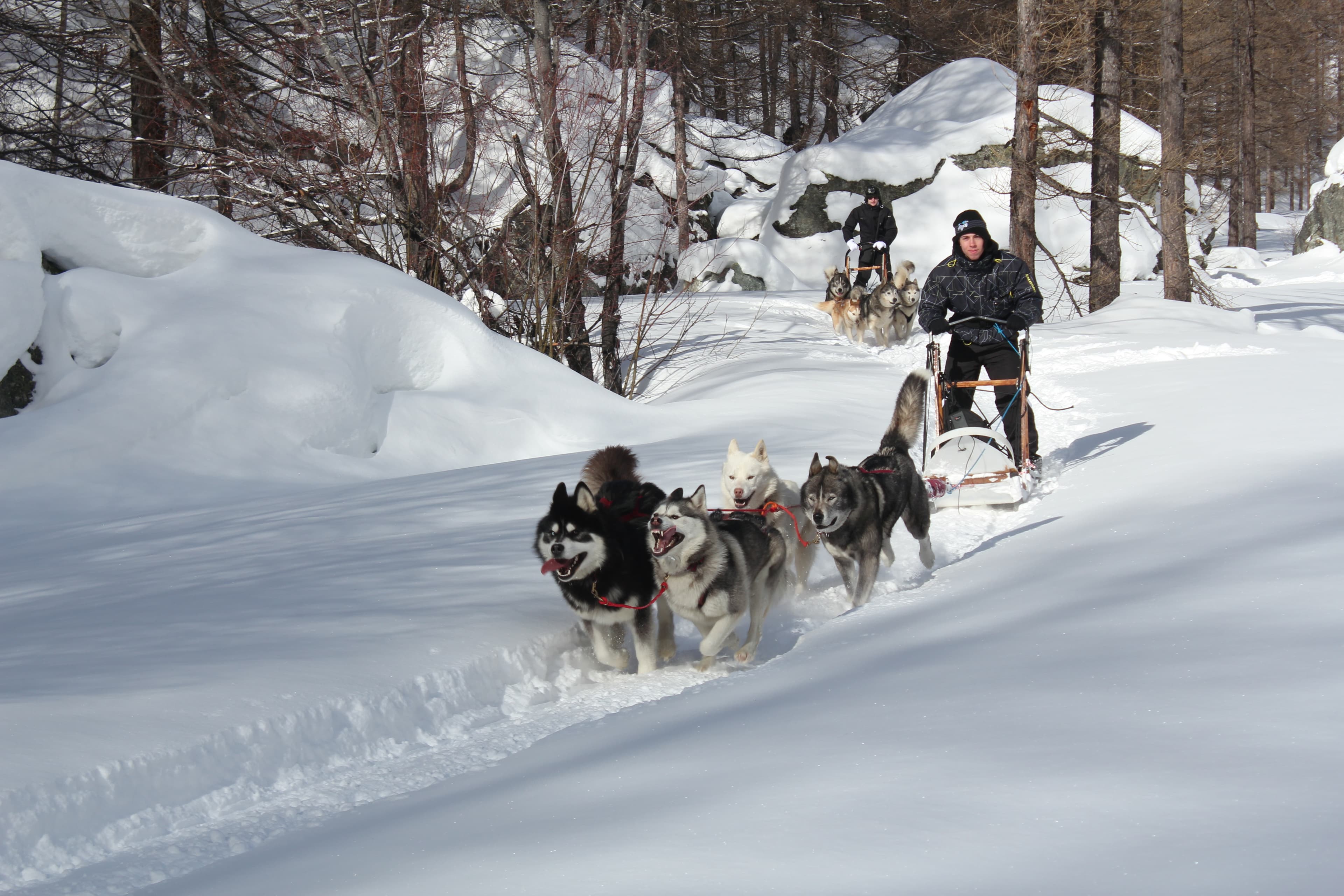 Yukon Territory Region 15