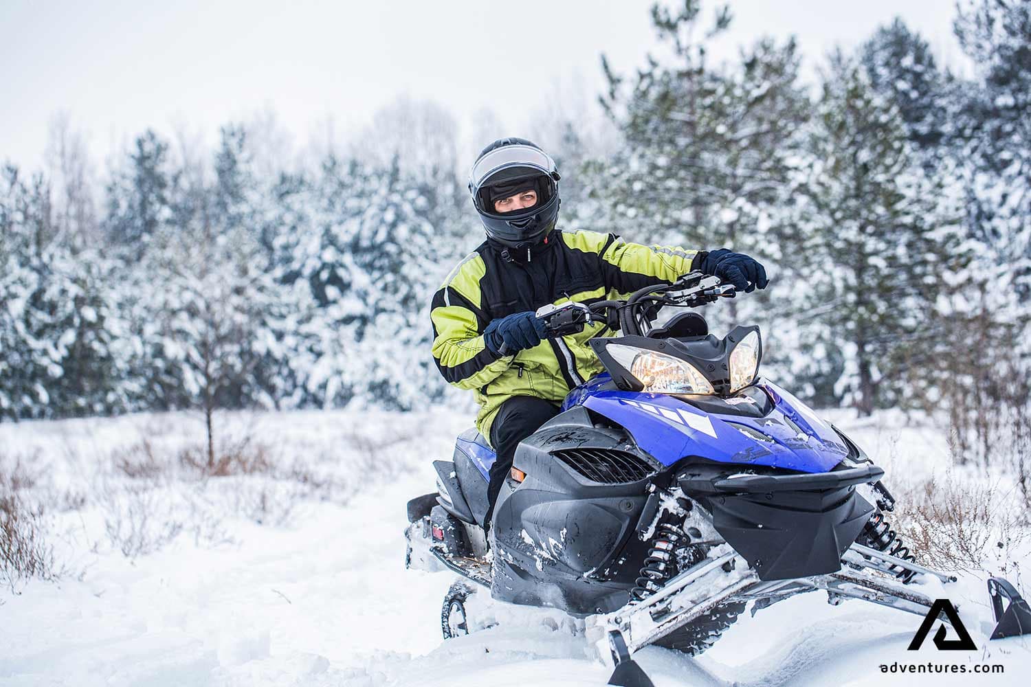 Man driving snowmobile in snowy forest. Man on snowmobile in winter mountain. Snowmobile driving