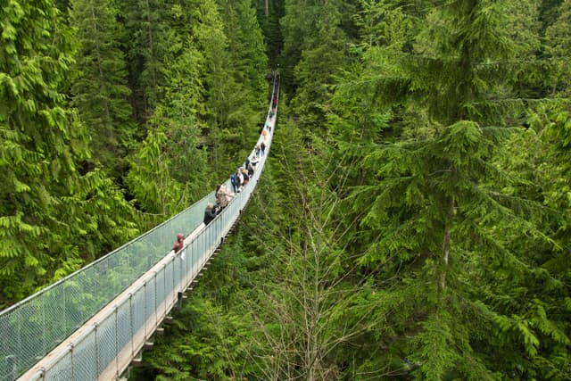 Capilano bridge. North Vancouver. Canada 9 April 2013 - tourists enjoying Capilano swing bridge. Vancouver & North Vancouver Full-Day Tour 2