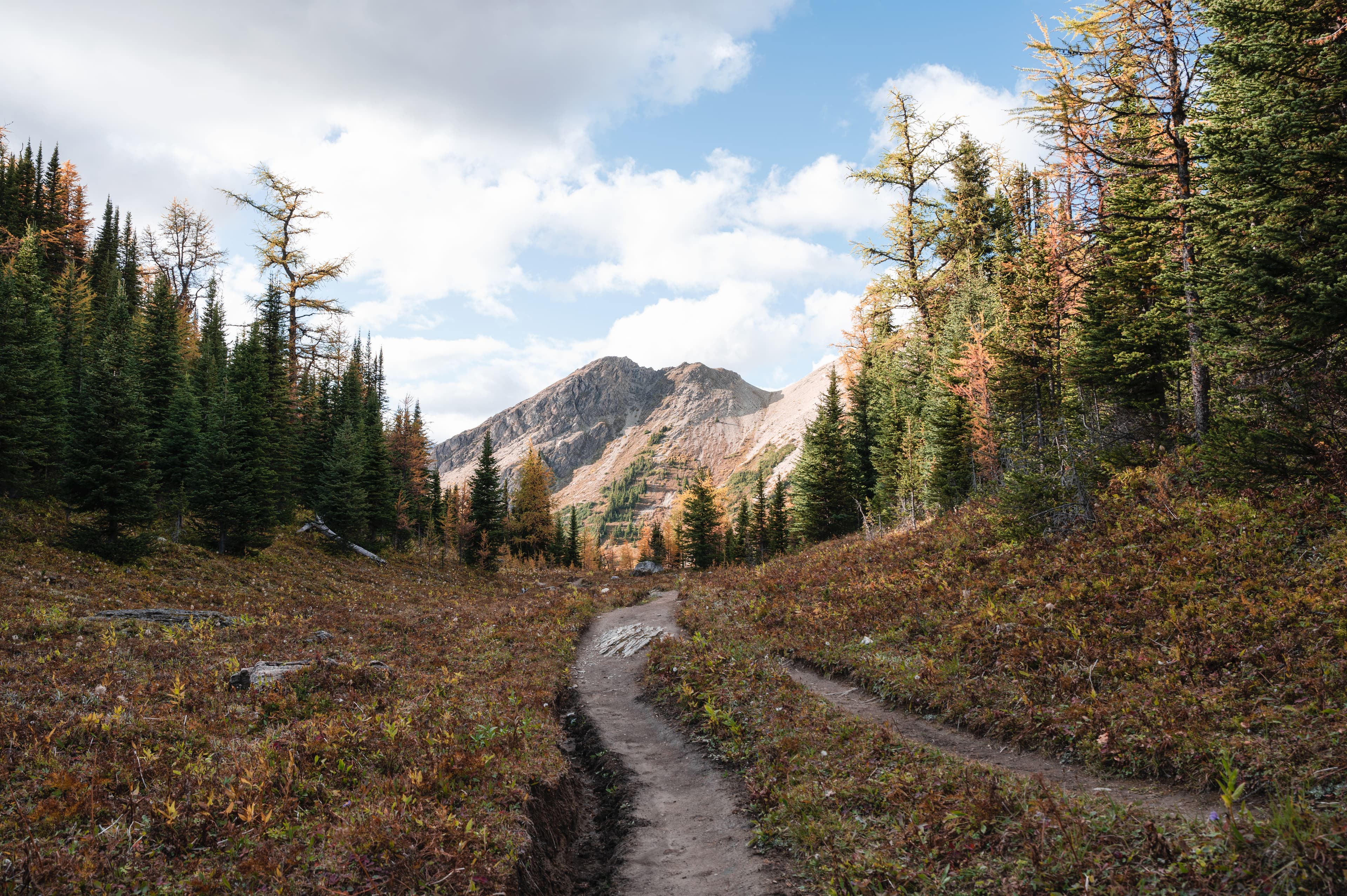 Hiking trail with Rocky Mountains in autumn forest at provincial park, Canada Hiking trail with Rocky Mountains in autumn forest at provincial park