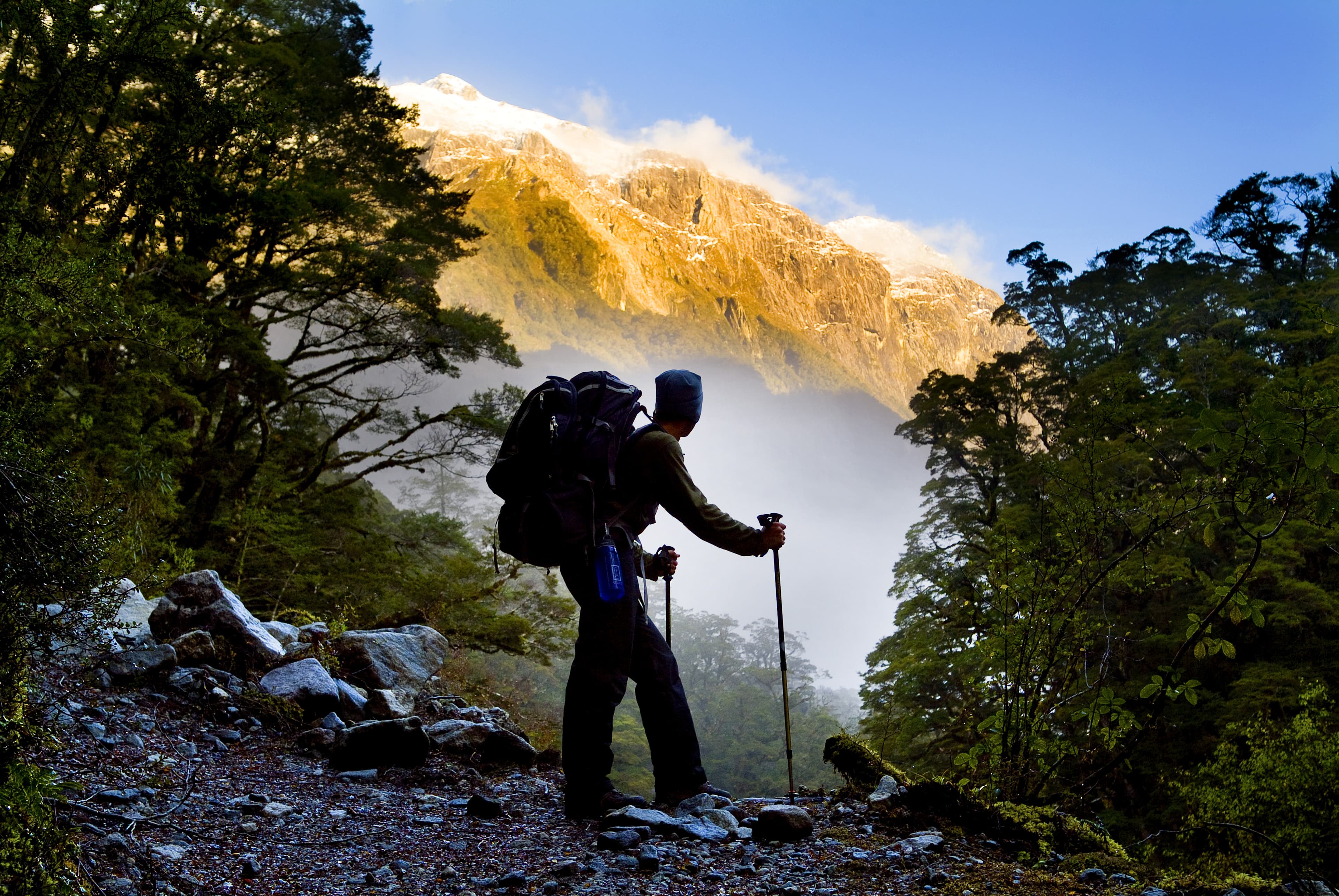 A hiker pauses for a rest at a clearing while ascending into the mountains A hiker pauses for a rest at a clearing on Milford Track, NZ.
