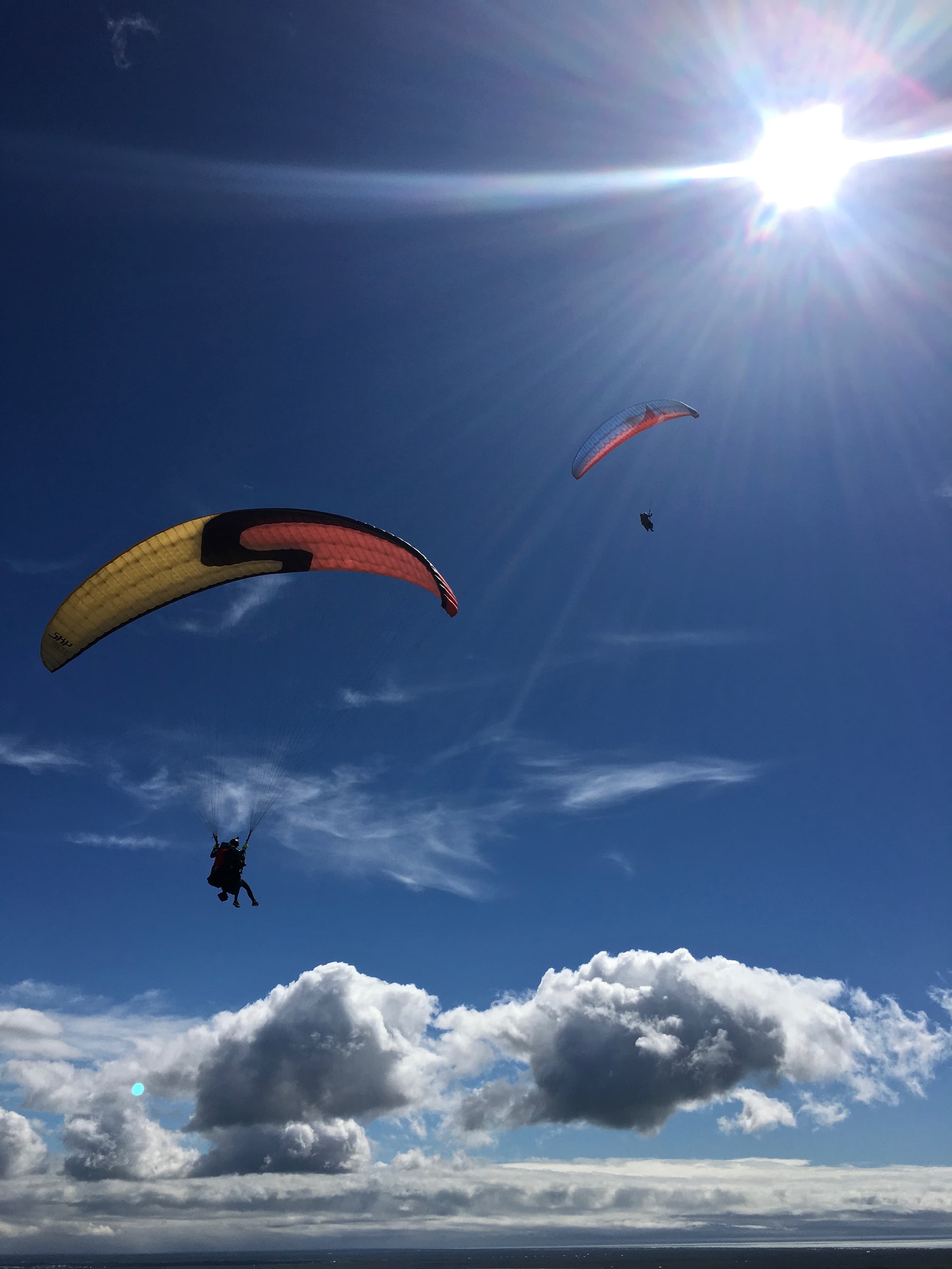Paragliding Reykjavík Iceland Gliders