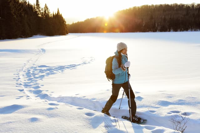 Winter sport activity. Woman hiker hiking with backpack and snowshoes snowshoeing on snow trail forest in Quebec, Canada at sunset. Beautiful landscape with coniferous trees and white snow. Winter hiking sport activity woman snowshoeing