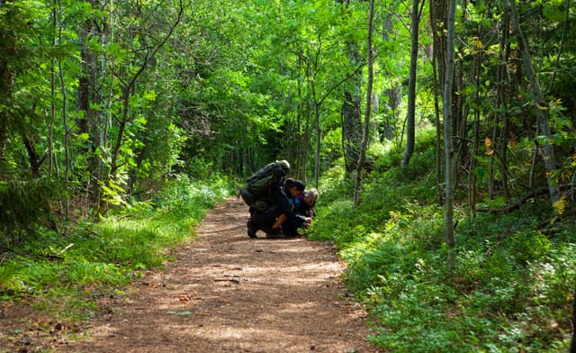 berry-picking-hiking-tour-from-helsinki