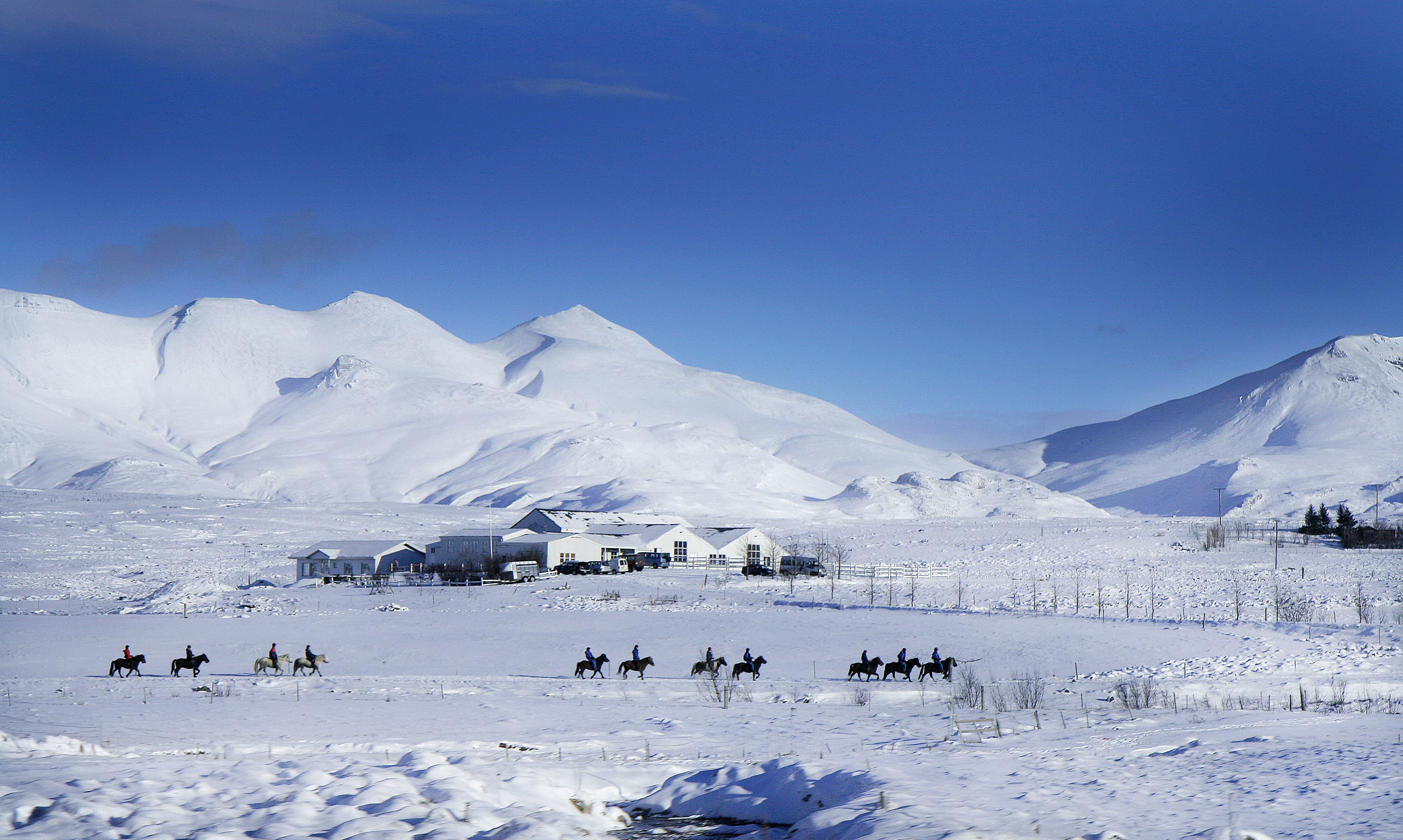 Icelandic-horses-riding-winter-iceland