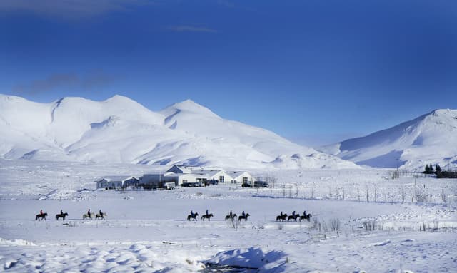 Icelandic-horses-riding-winter-iceland