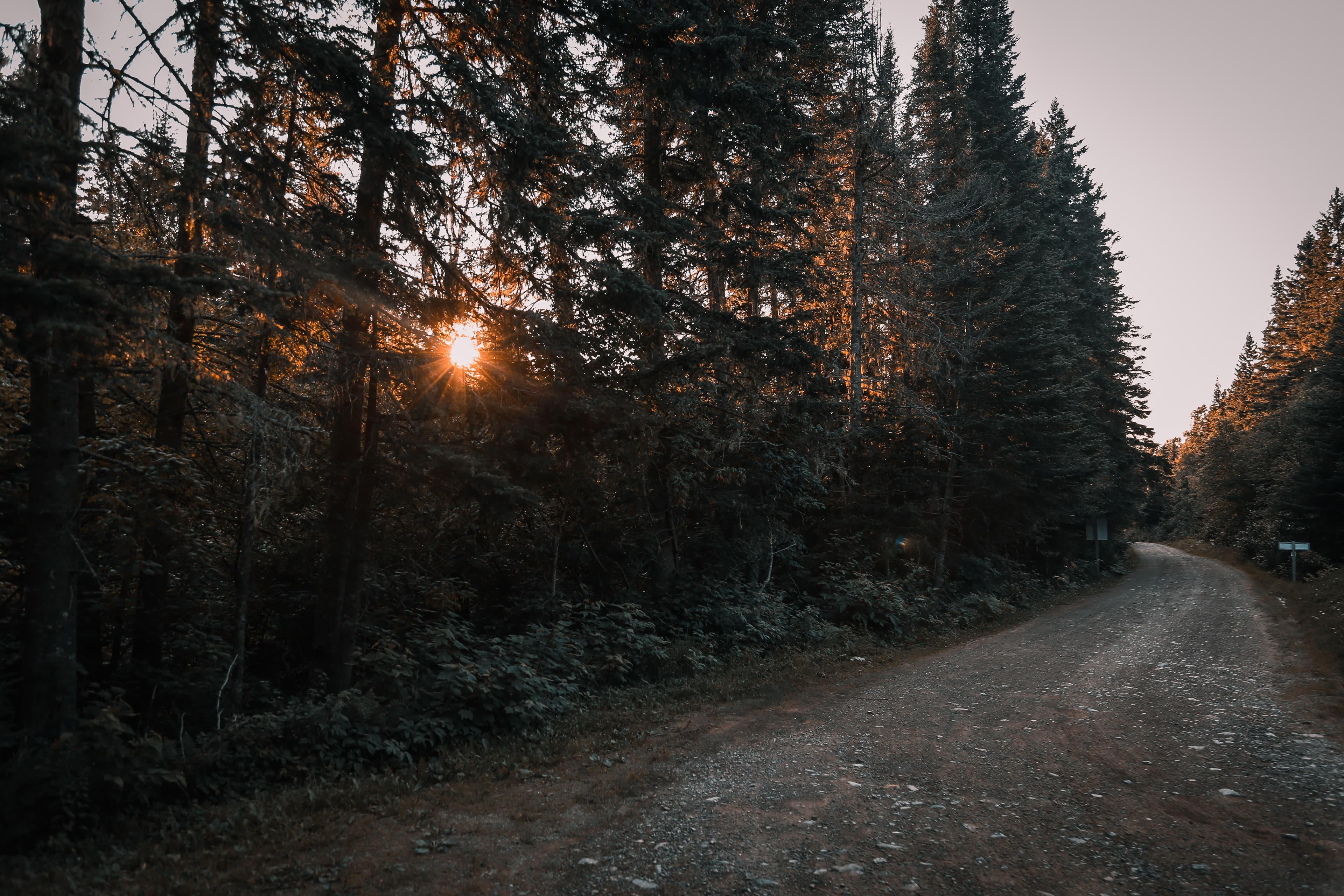 New Brunswick Region 6