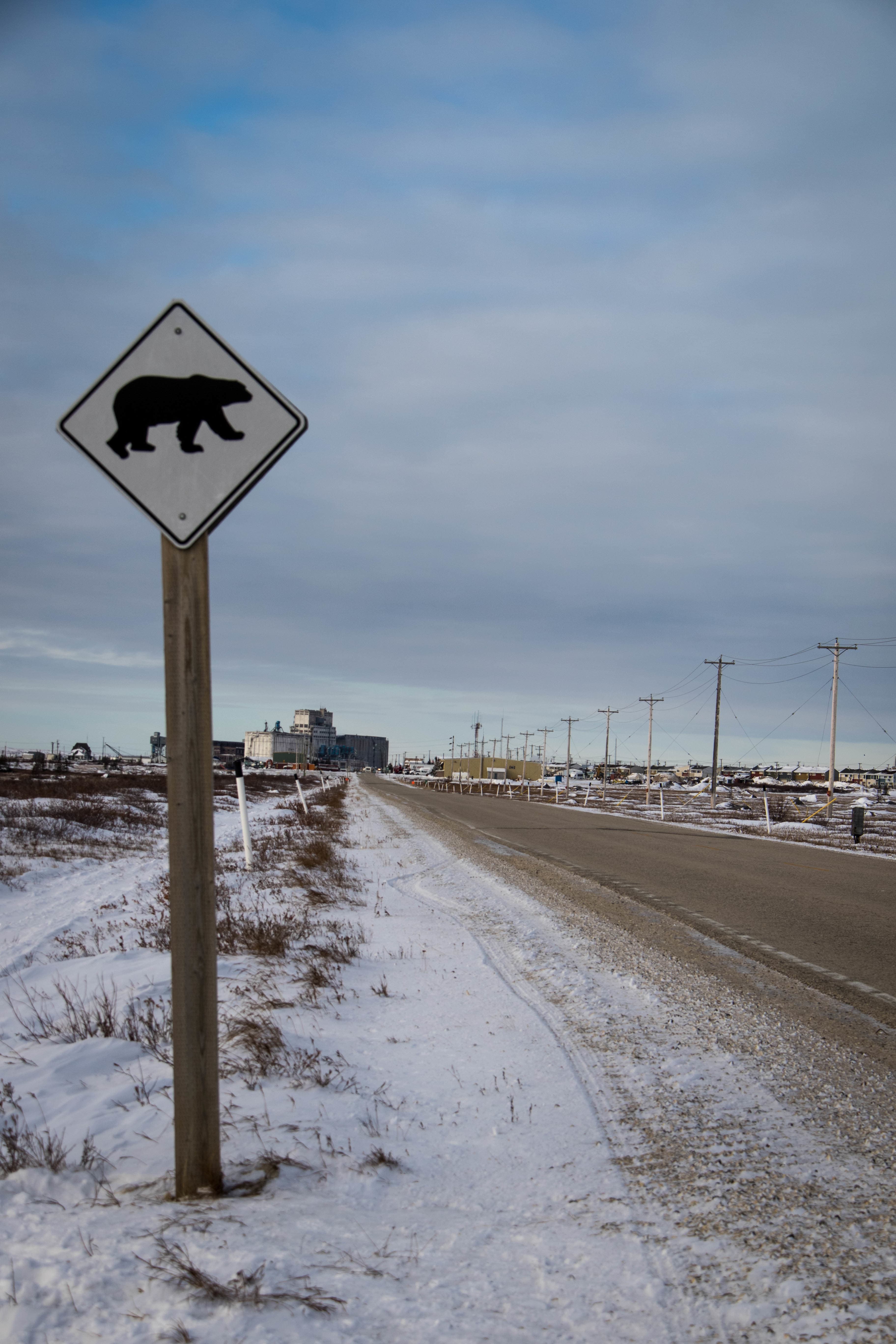 Polar bear warning, Churchill, Canada