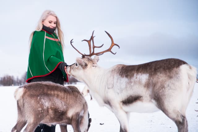 Woman-with-green-scarf-feeding-reindeers