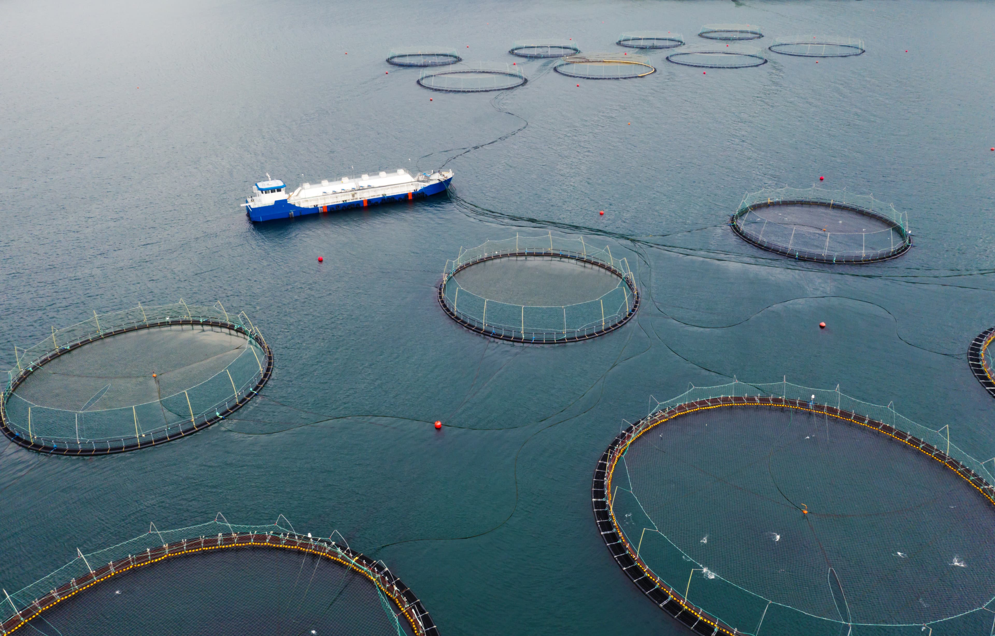 Aerial drone photo over fish farm near Sandavagur village on Vagar island, Faroe Islands, Denmark Aerial drone photo over fish farm near Sandavagur village