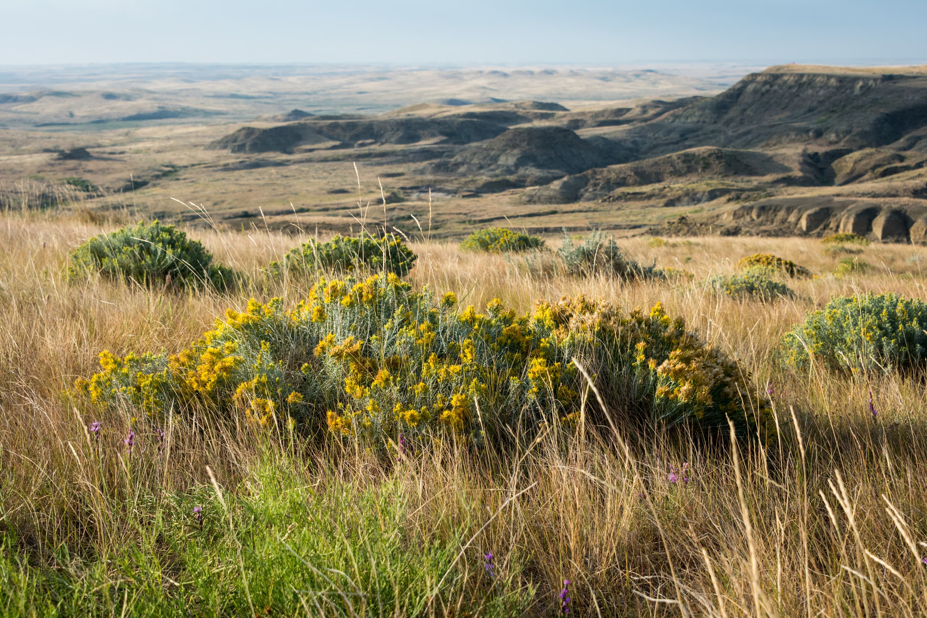 Saskatchewan Region 02