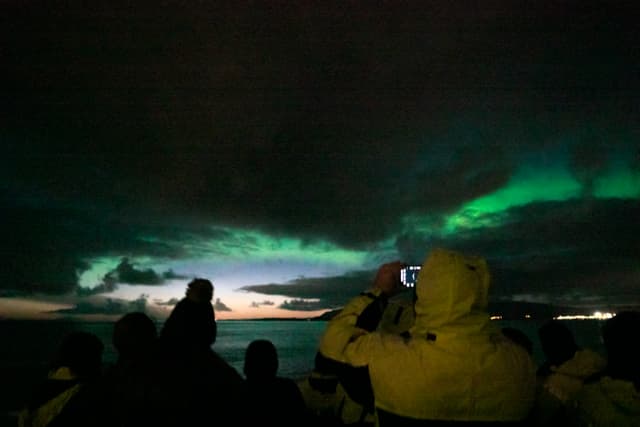 Northern lights by boat Special tours 58