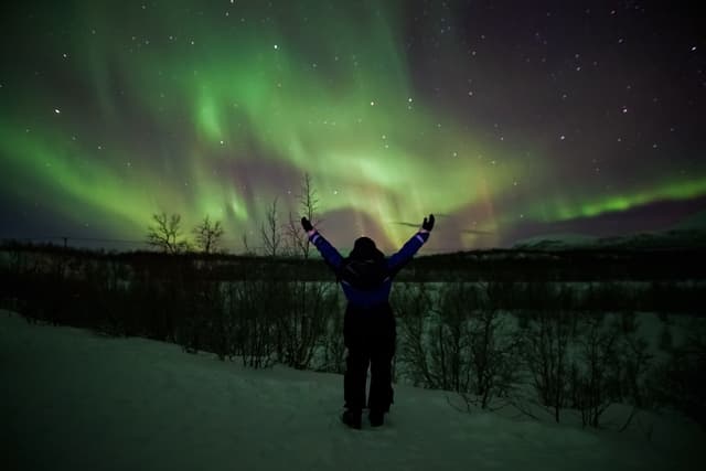 aurora borealis northern lights lapland