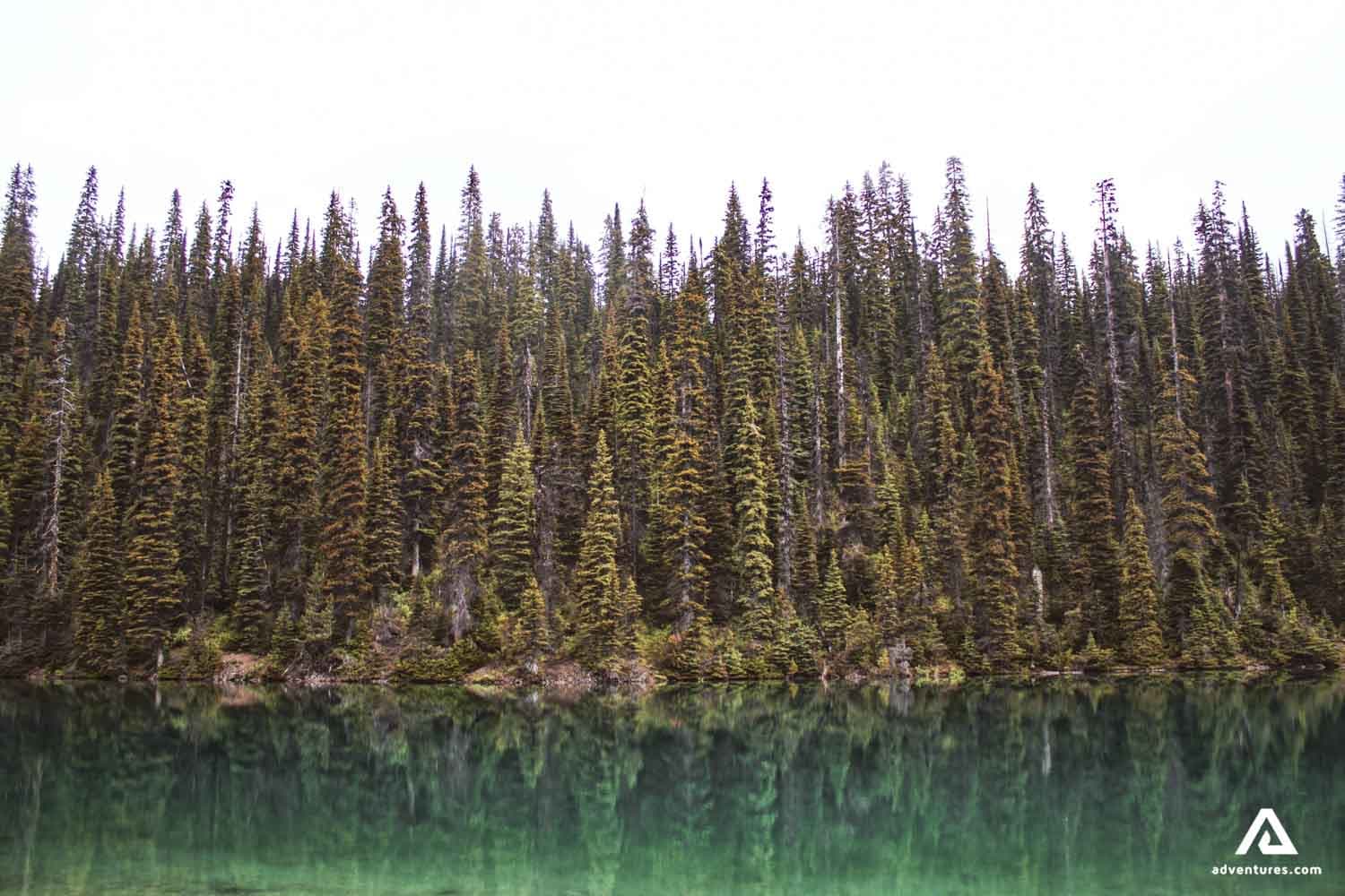yoho-national-park-canada-emerald-lake-reflection-forest-1-2
