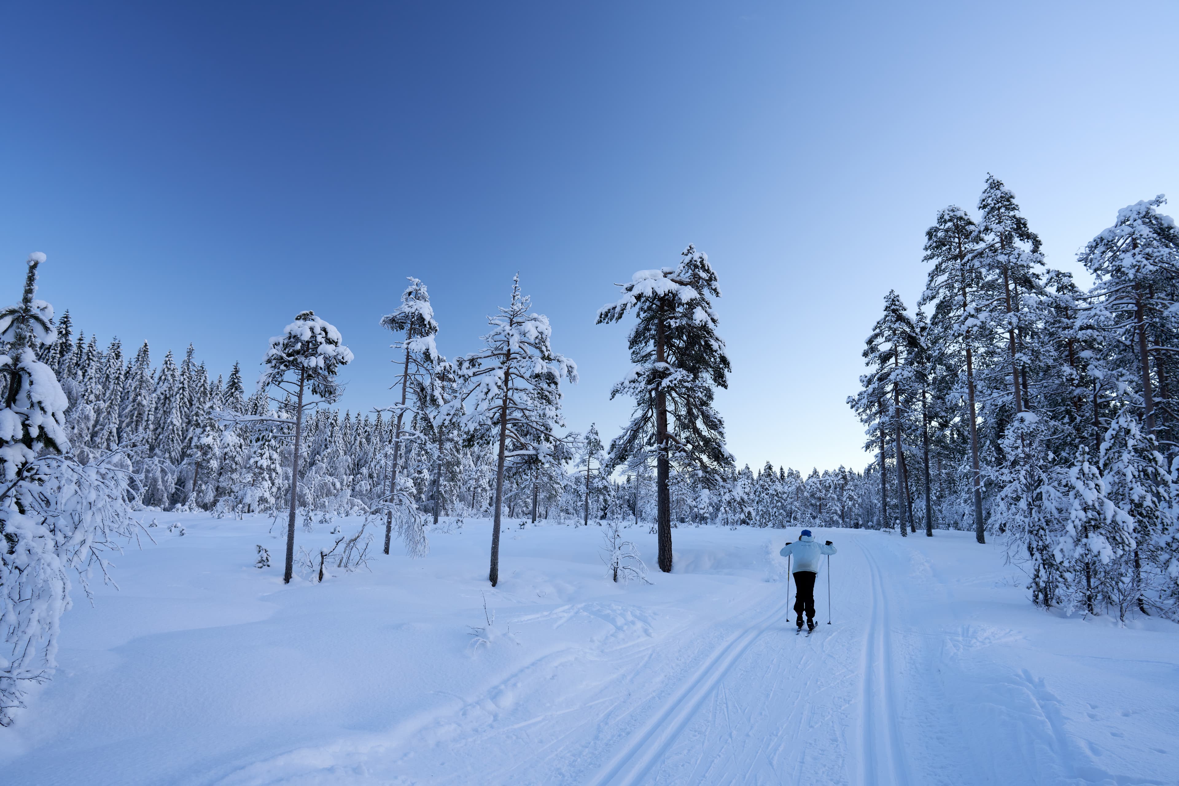 Cross country skiing in Norway is very popular. This is the tracks and slopes in Oslo, just a  short distance from downtown. The place is called Nordmarka or Oslomarka.