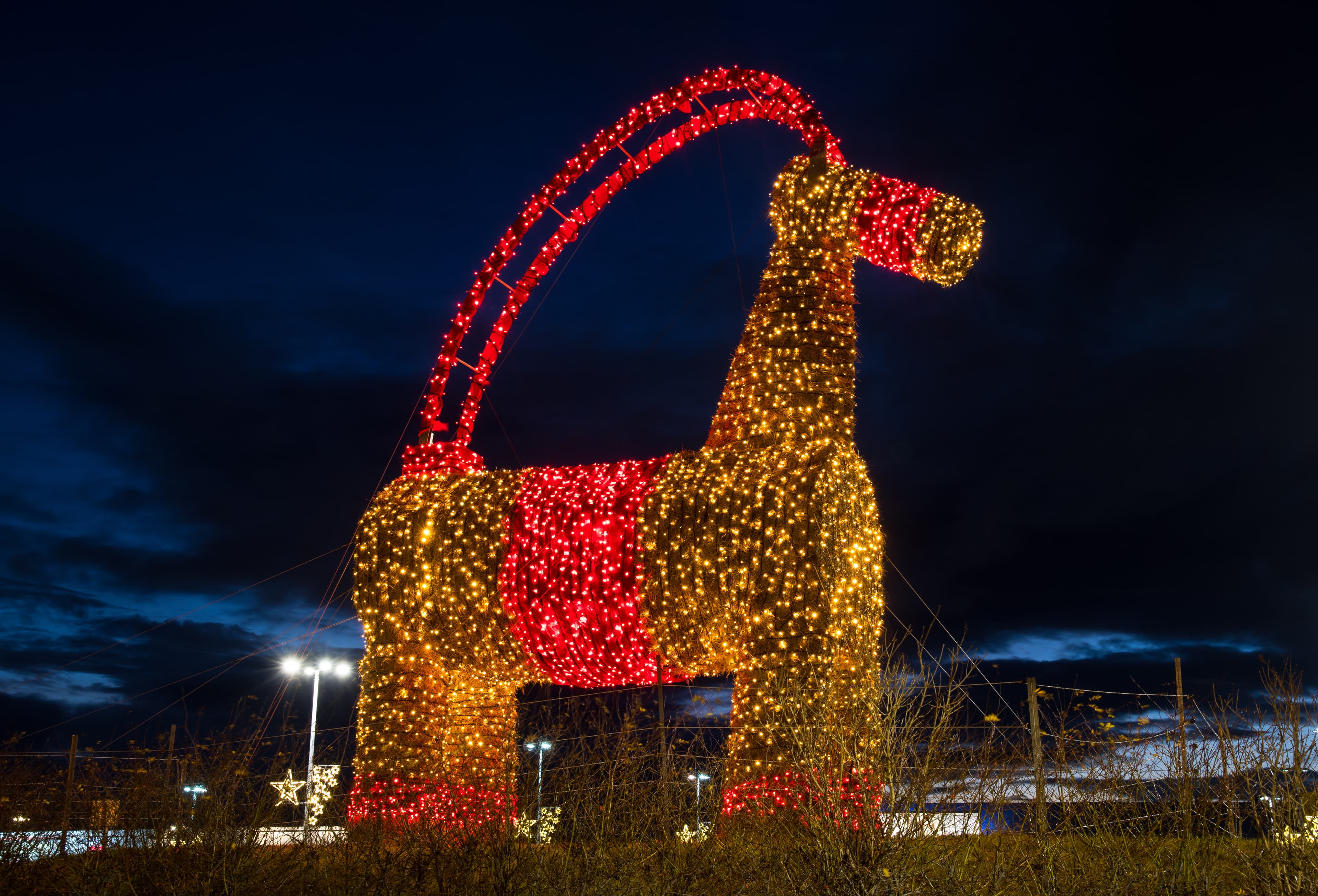 goat christmas light decoration in the evening goat-christmas-decoration in the evening