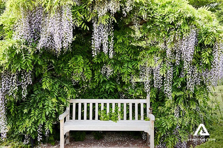 Helsingborg-botanical-garden-sofiero-park