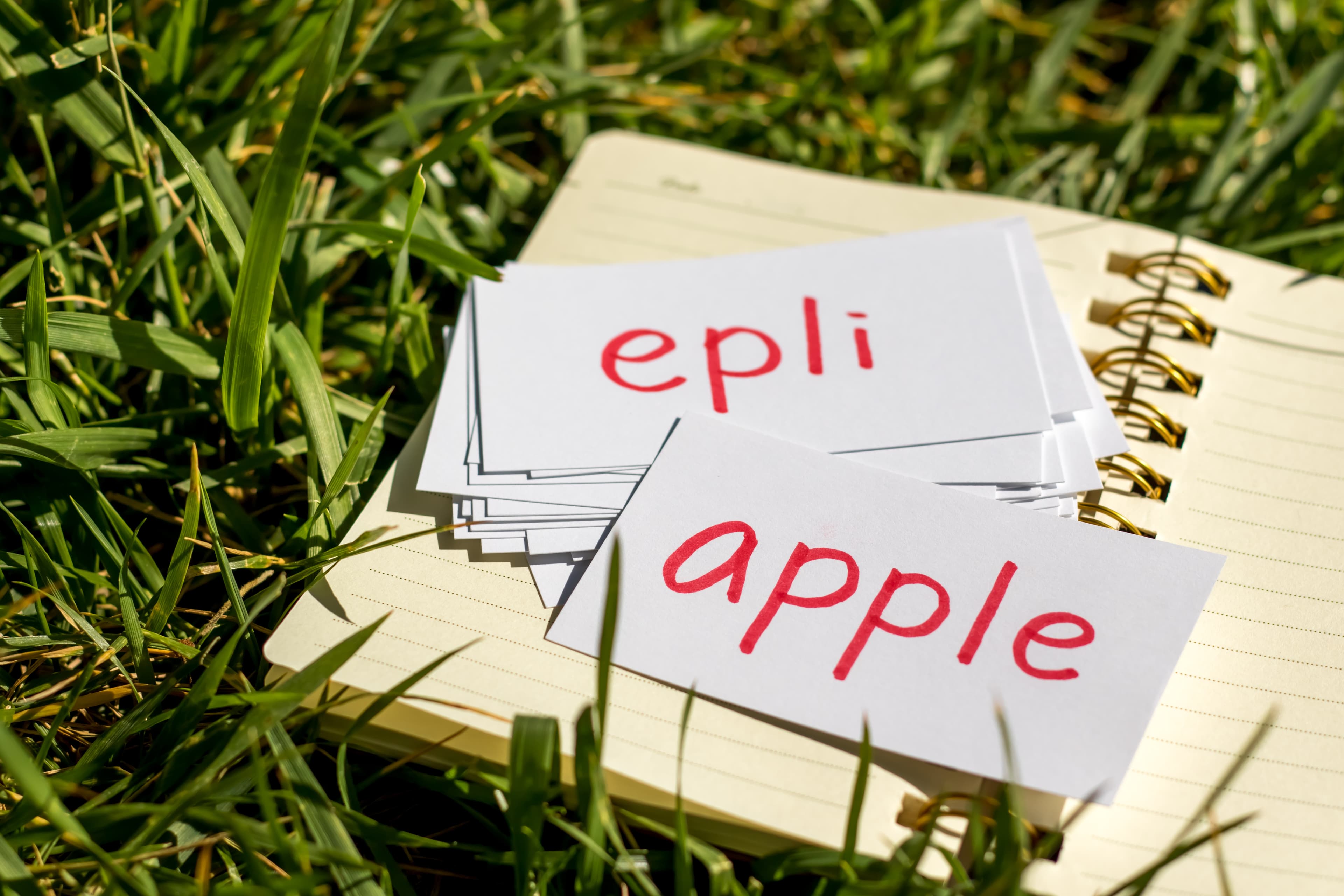 Icelandic and English; Learning New Language with Handwritten Flash Cards. Translation; Apple Icelandic and English; Learning New Language with Handwritten Flash Cards. Translation; Apple