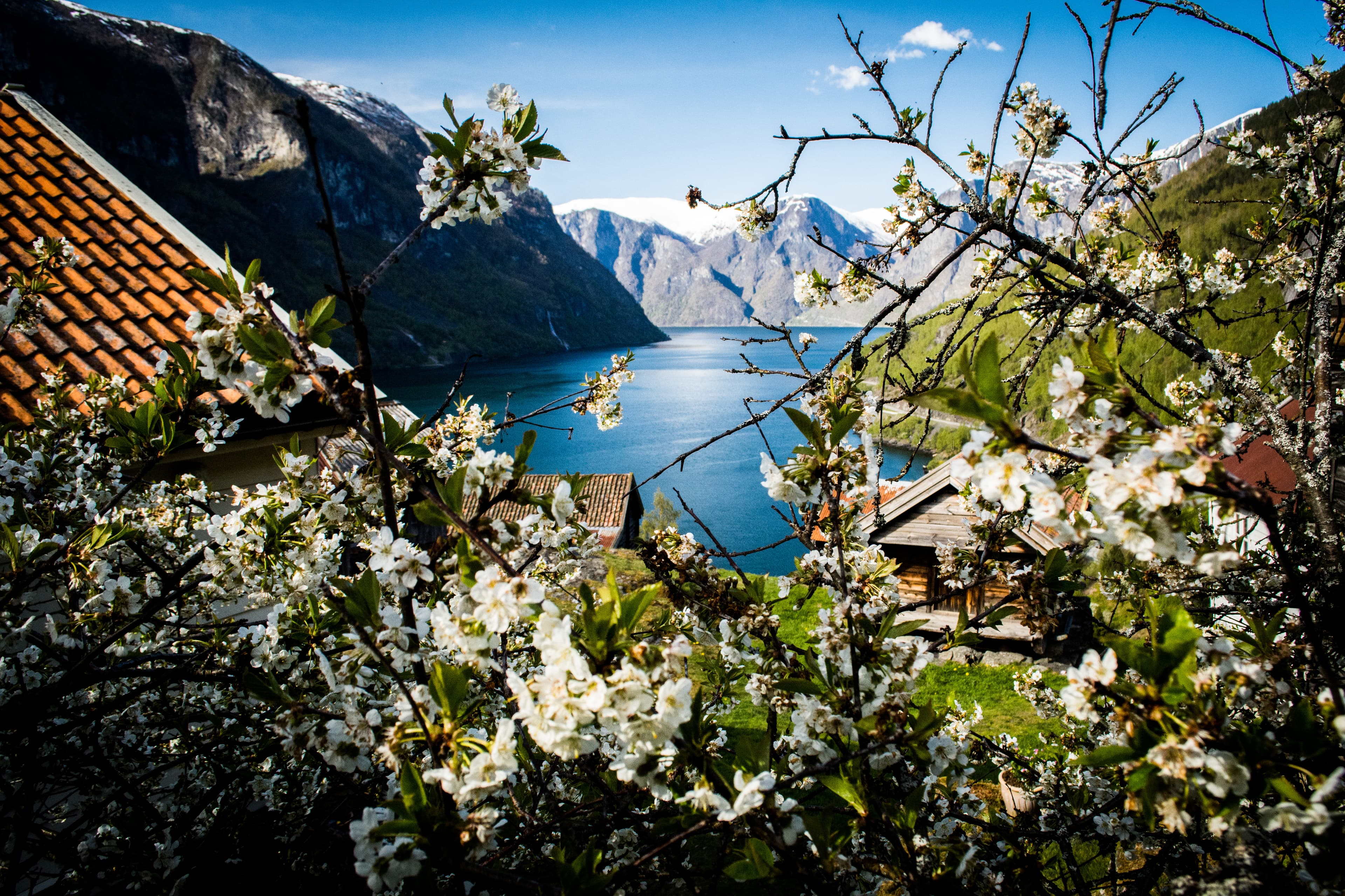 Springtime in Norway with view on the Aurlandsfjord. Travel, Tourism and beauty in nature Springtime in Norway with view on the Aurlandsfjord.