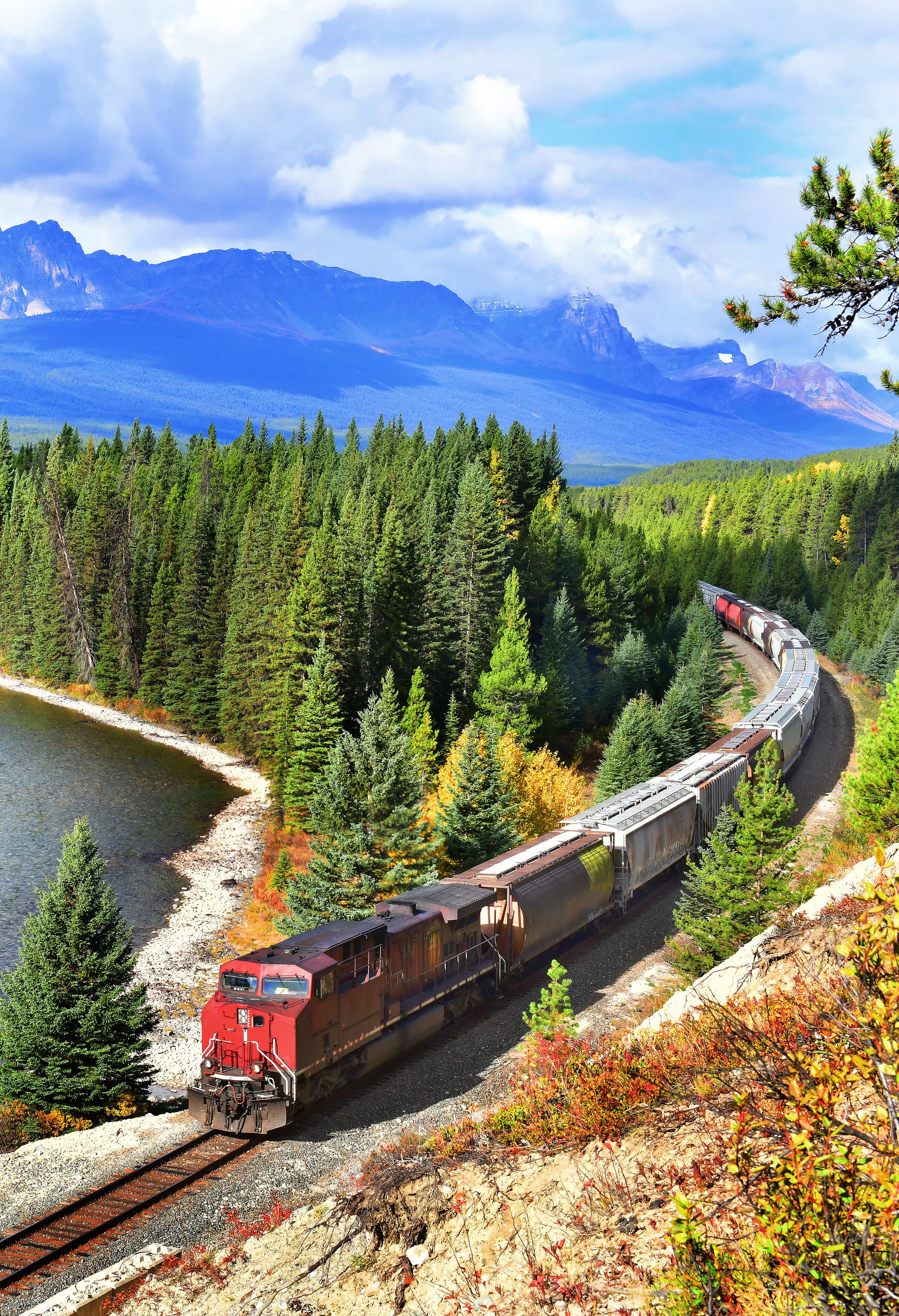 Train passing famous Morant's curve at Bow Valley in autumn ,Banff National Park, Canadian Rockies,Canada.