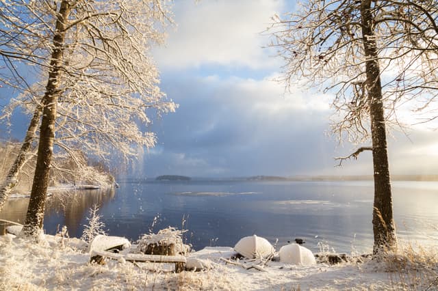 Beautiful view of Lake Pyhäjärvi, snowy ground, rowboats and trees and snow falling from trees on a sunny day in the winter in Tampere, Finland.