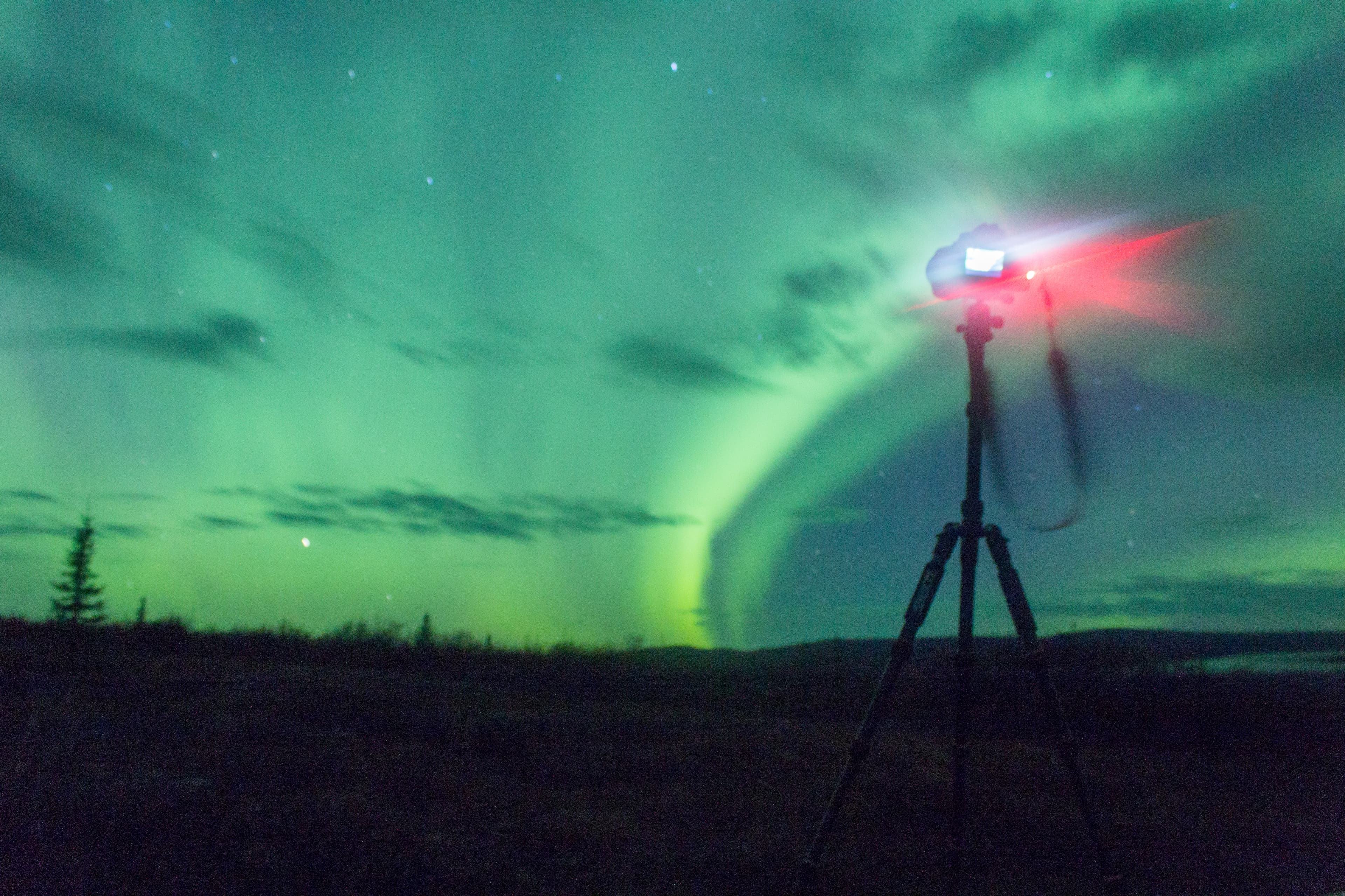 northern lights arcoss the blacked skies of an Alaskan life staring up at the stars.  Northern lights across the black spruces on the Alaskan Range, Silhouettes cast across the sky and clouds cascaded