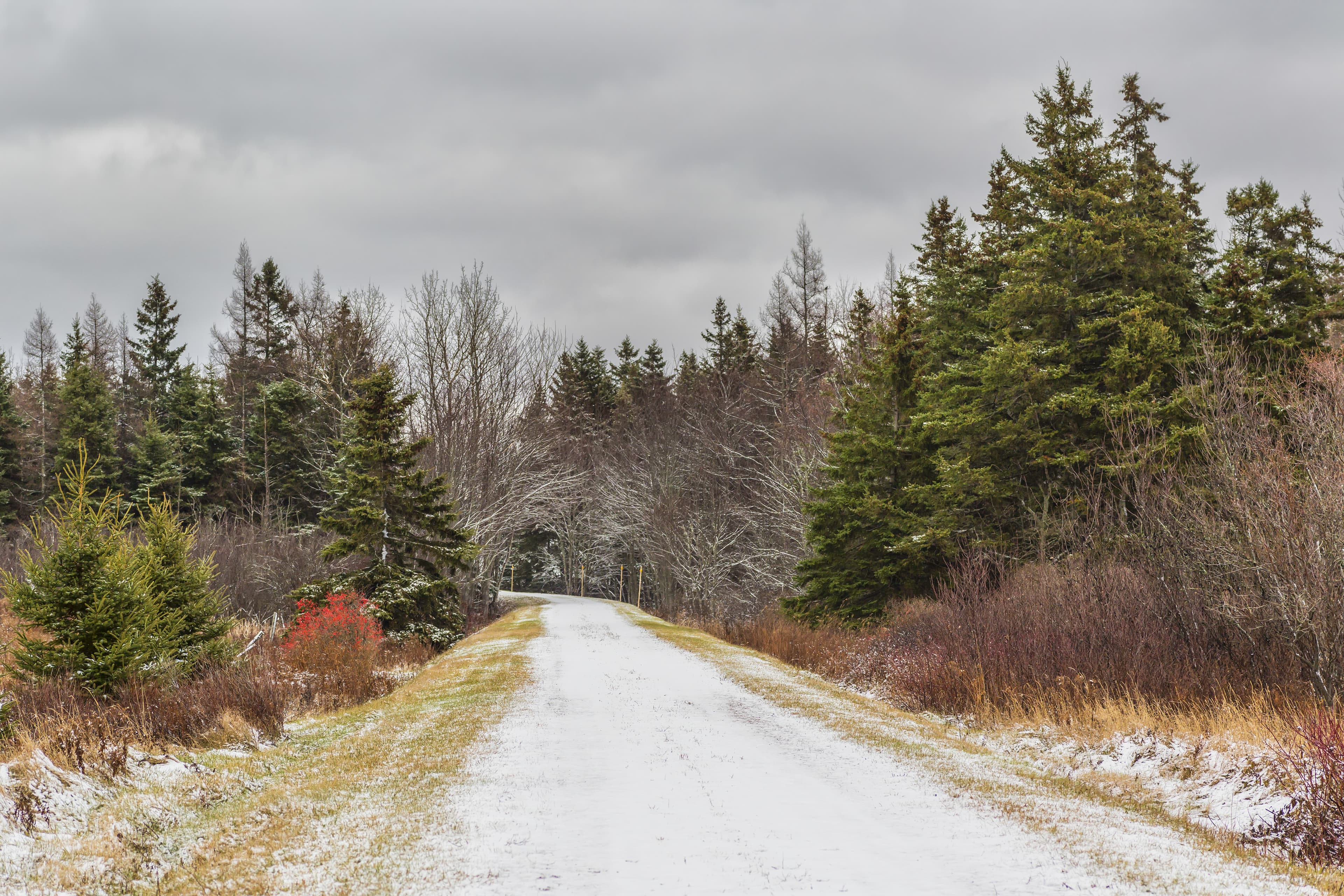A portion of Confederation Trail on Prince Edward Island in early winter. Prince Edward Island Region 13