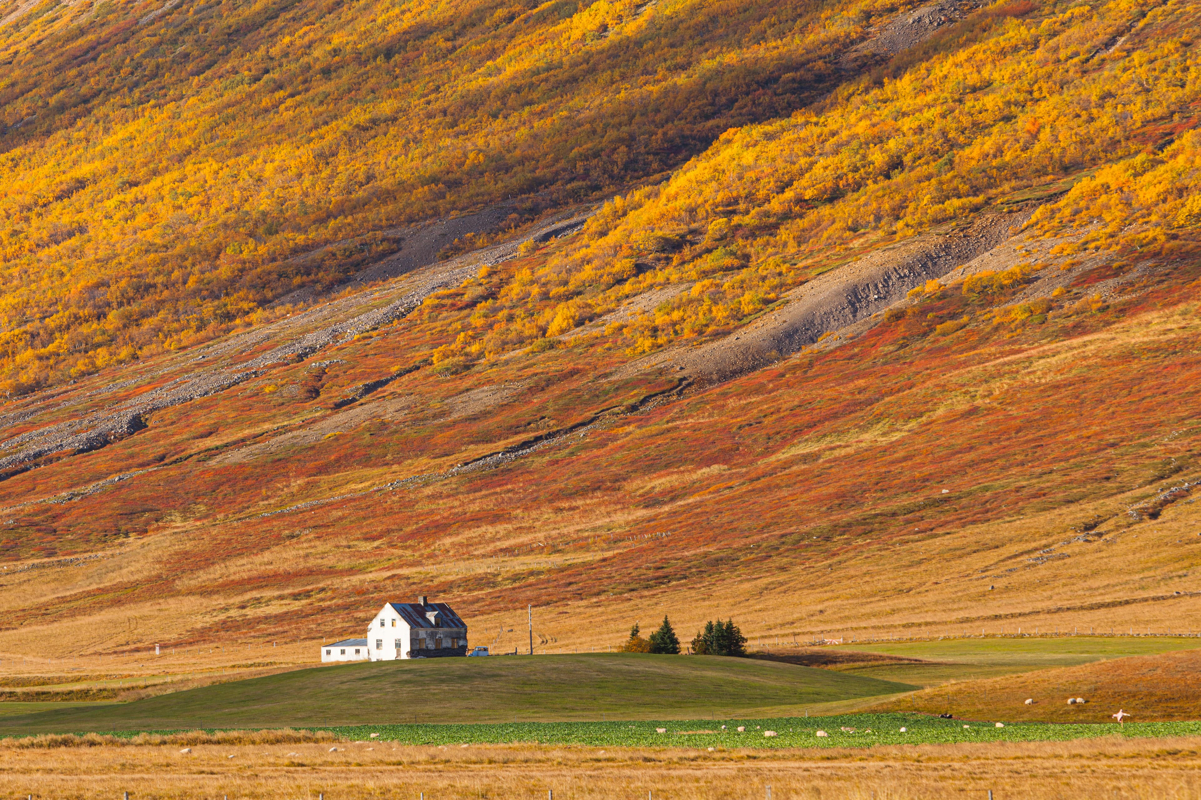 Autumn landscape with a lone farm in northern Iceland