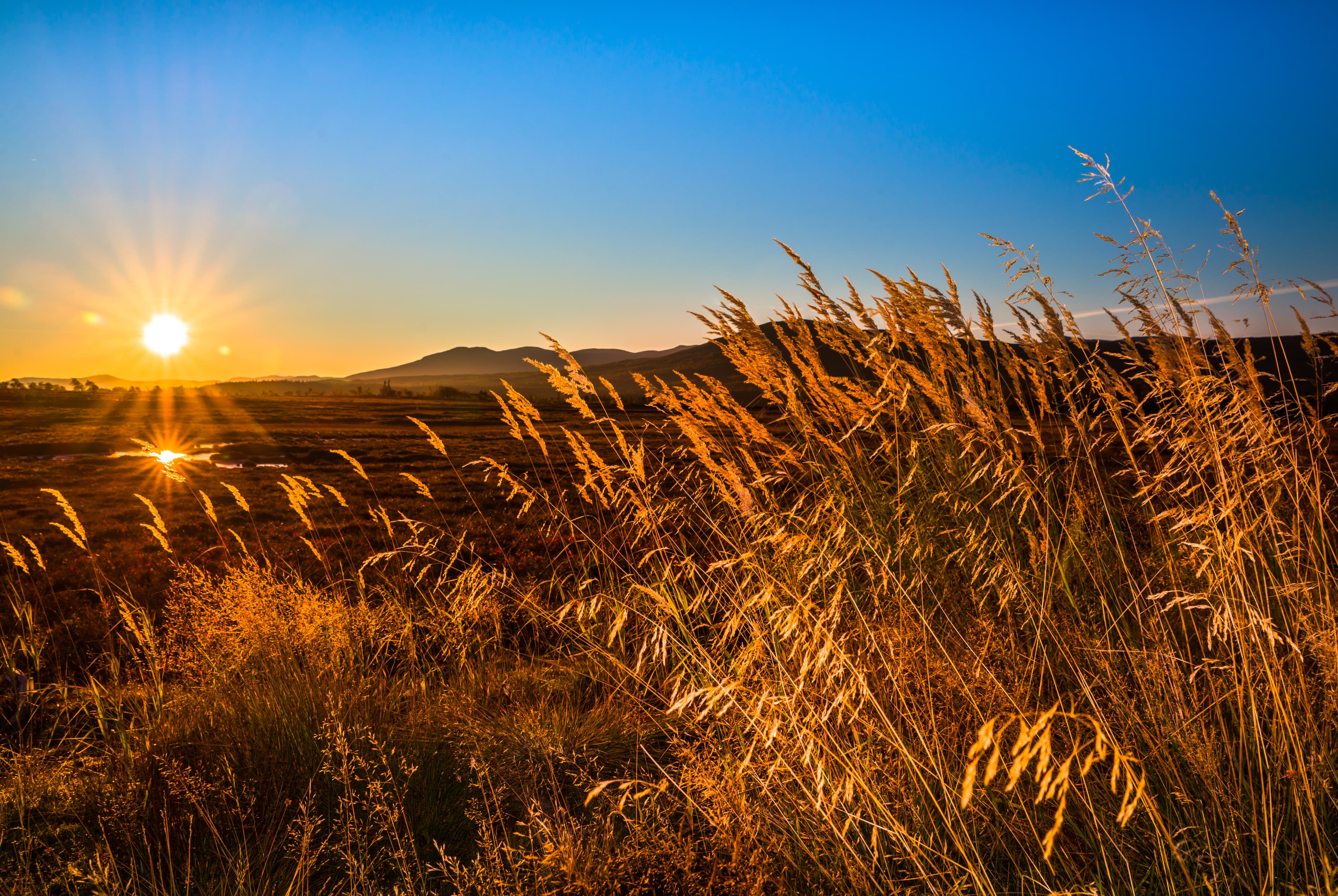 harmonious picture of the Swedish mountains with a beautiful sunrise in the background beautiful harmonious picture of the Swedish mountains