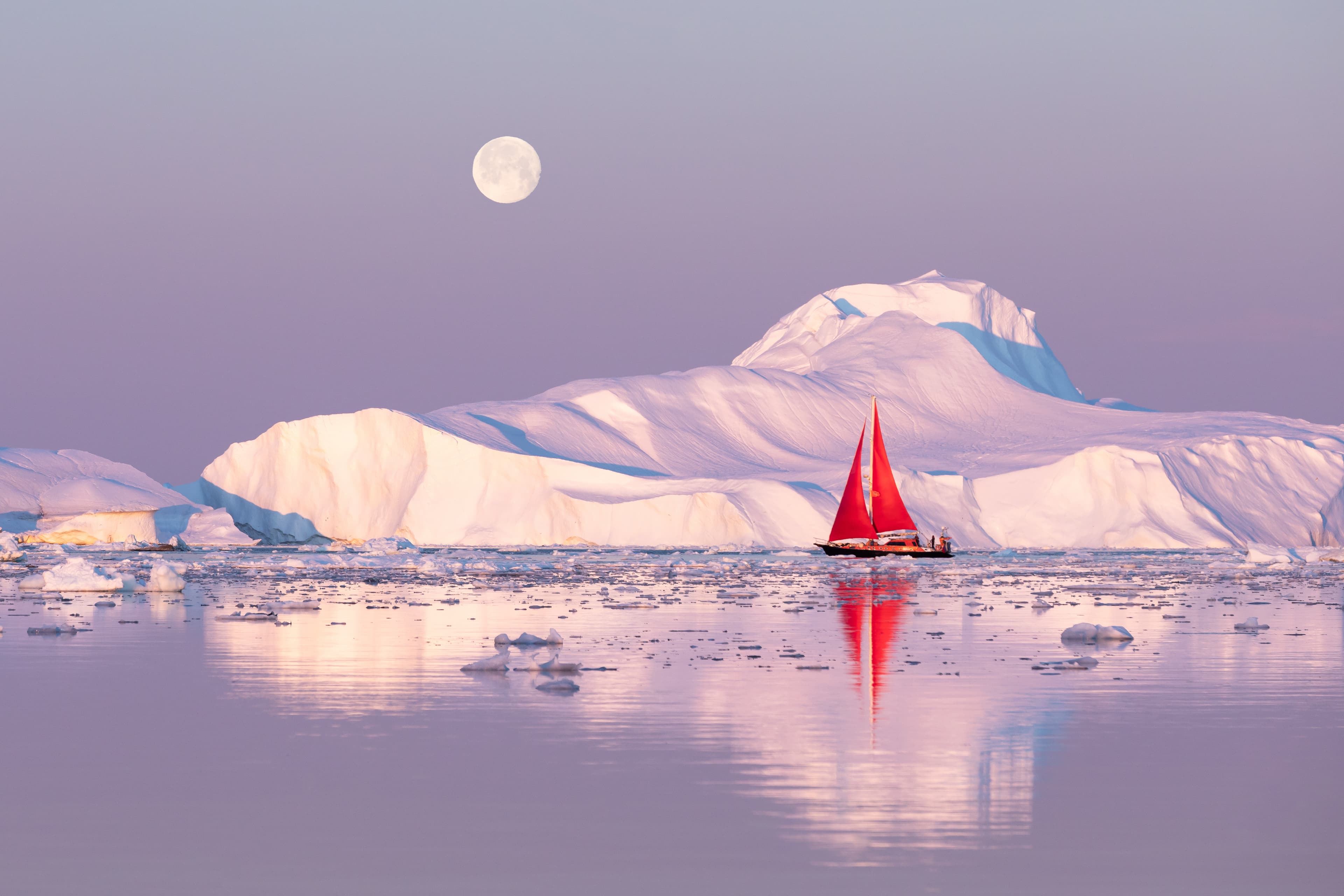 Little red sailboat cruising among floating icebergs in Disko Bay glacier during midnight sun season of polar summer. Ilulissat, Greenland. Red sailboat cruising among icebergs.