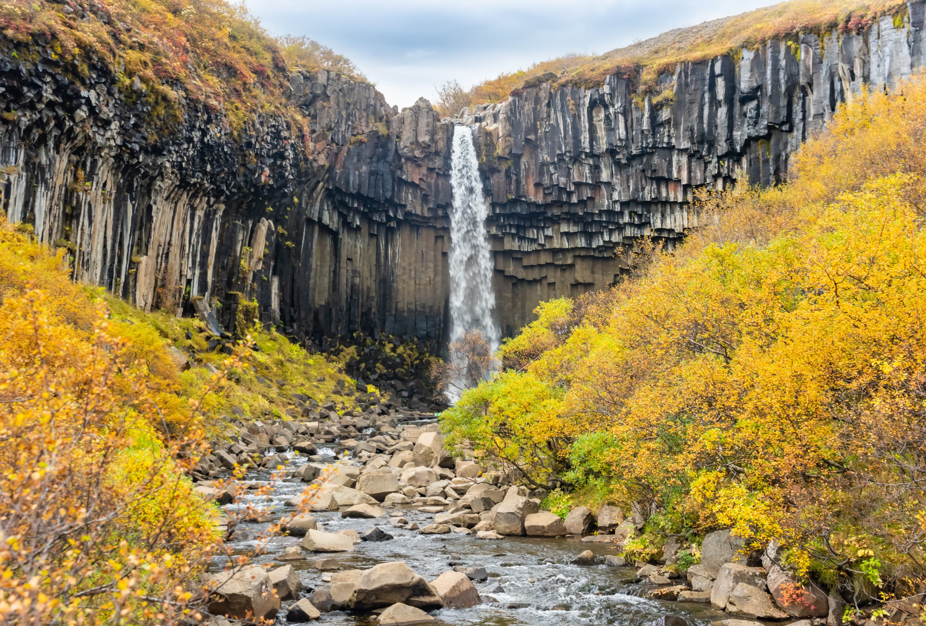 Svartifoss, famous Black waterfall, popular tourist spot in Iceland Skaftafel national park. Autumn, Fall Svartifoss, famous Black waterfall, Iceland Skaftafel national park