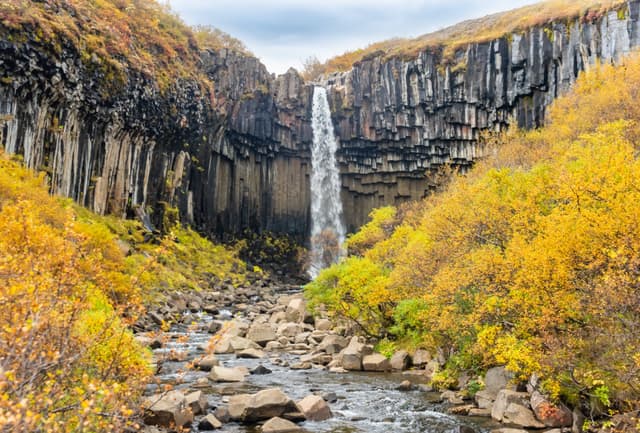Svartifoss, famous Black waterfall, popular tourist spot in Iceland Skaftafel national park. Autumn, Fall Svartifoss, famous Black waterfall, Iceland Skaftafel national park