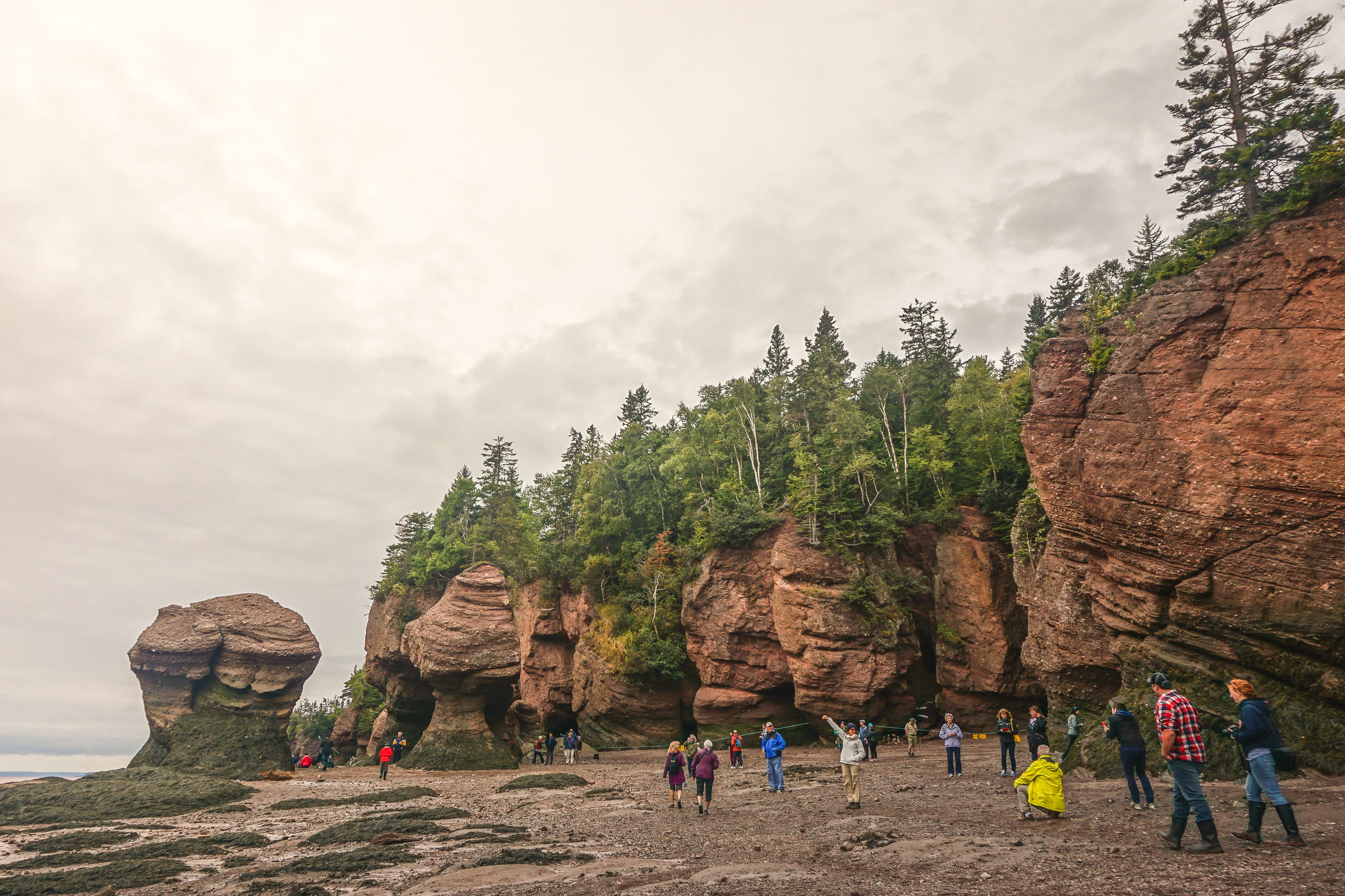 Fundy National Park, New Brunswick, Canada: Tourists walk among the exposed Hopewell Rocks on the Bay of Fundy at low tide. Fundy National Park, New Brunswick, Canada: Tourists walk among the exposed Hopewell Rocks on the Bay of Fundy at low tide.