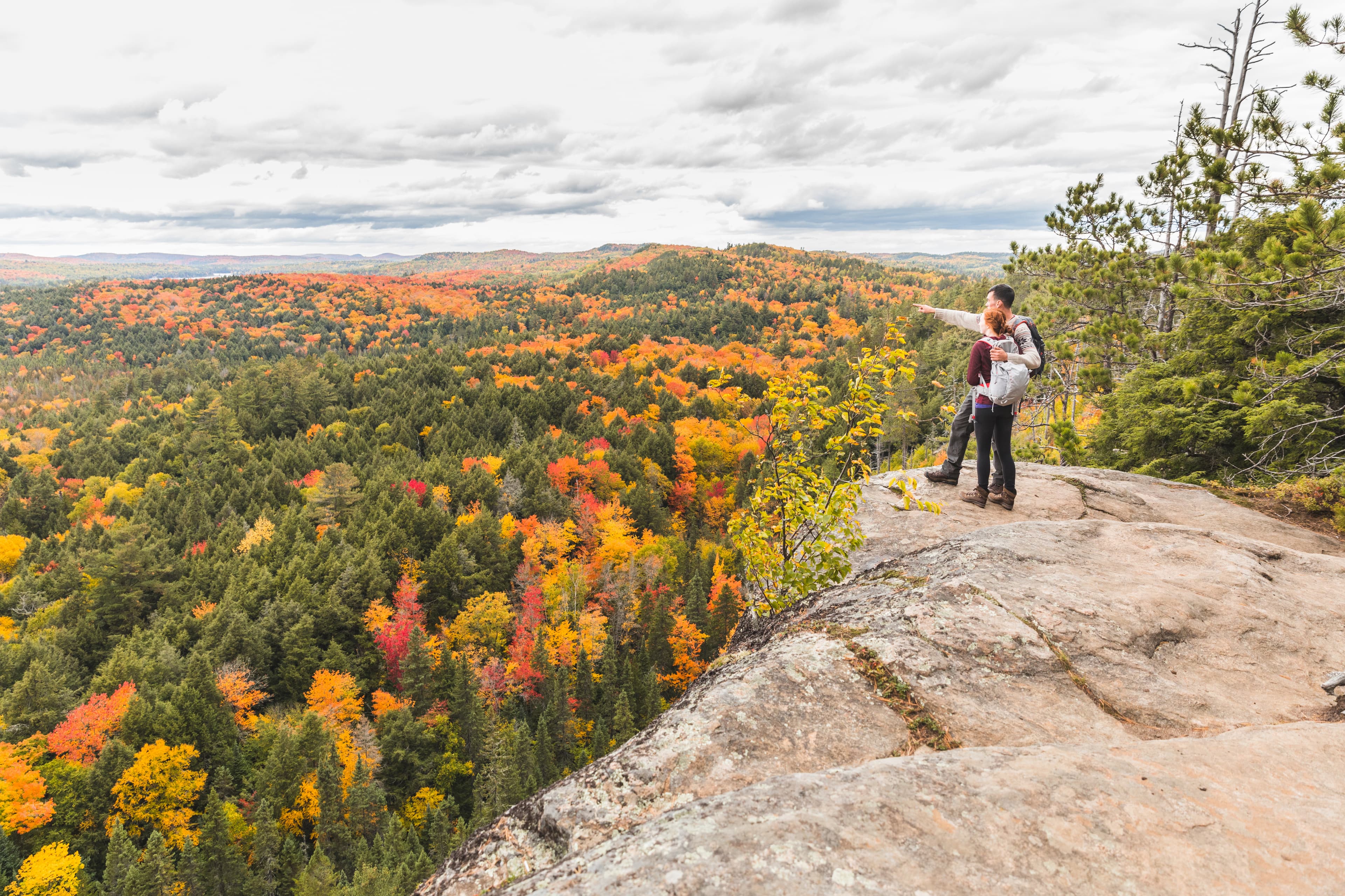 Couple looking at panorama from the top of the rocks. Two young hikers staring at the beautiful view below them with colourful trees all around. Wanderlust feeling, hiking and nature concepts. Ontario Region 12