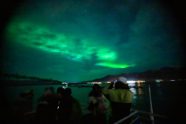 Northern lights by boat Special tours 36