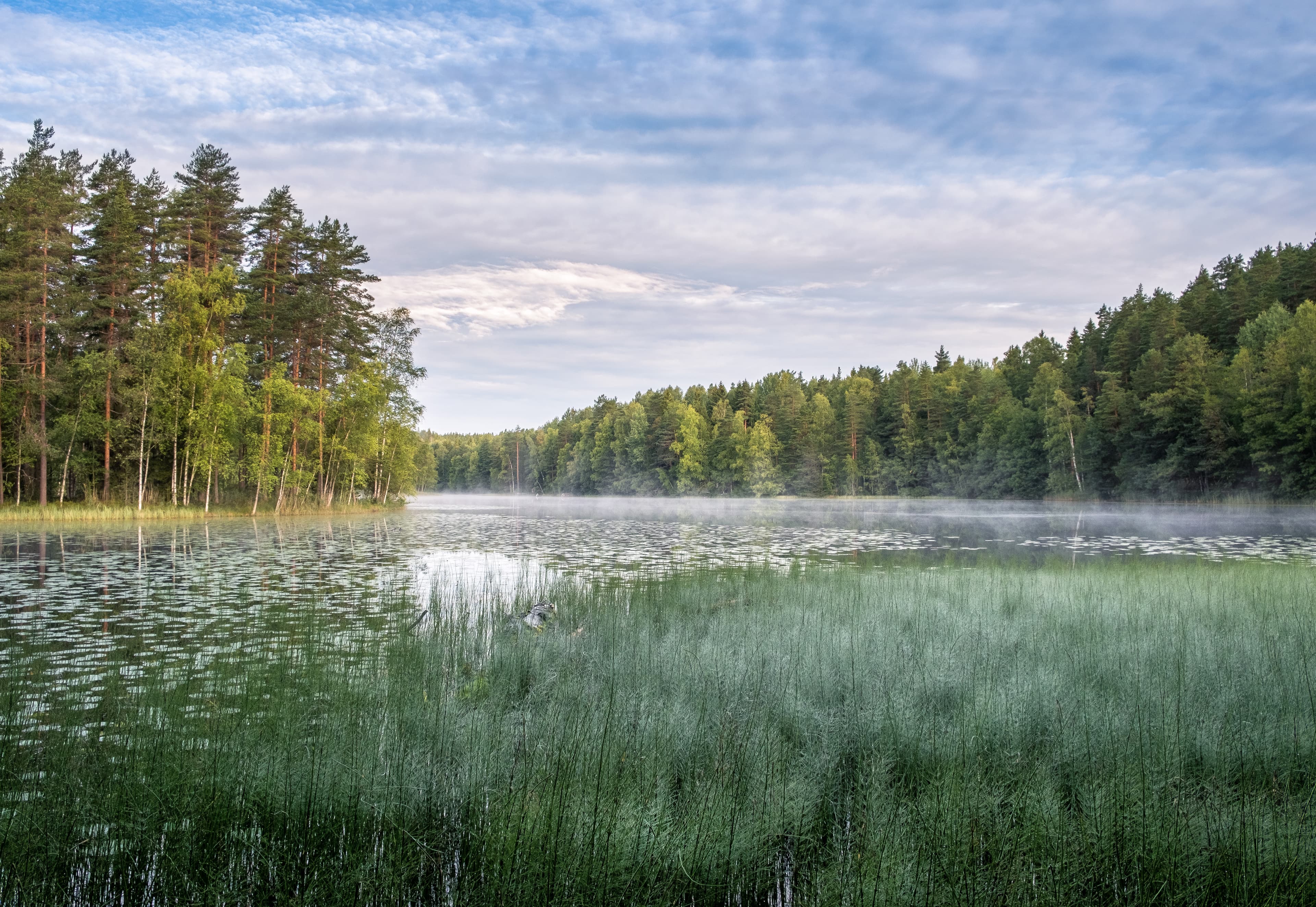 Peaceful morning mood with scenic lake view at autumn in Nuuksio National park, Finland Peaceful morning mood with scenic lake view at autumn in Nuuksio National park, Finland