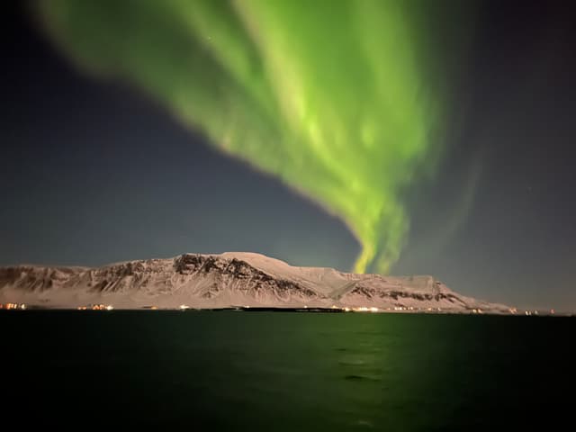Northern lights by boat Special tours 24