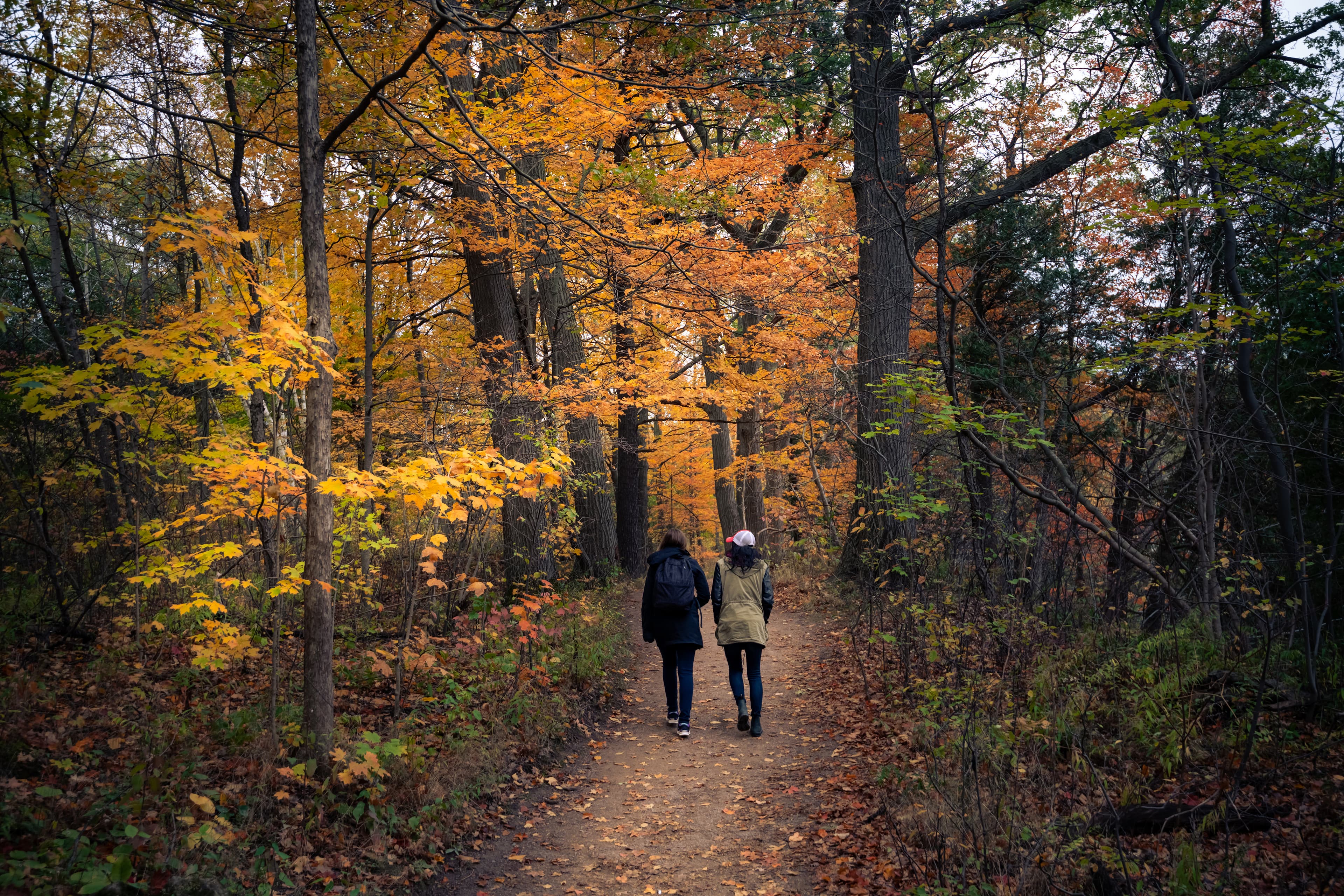 Beautiful fall autumn landscape  near Toronto Canada