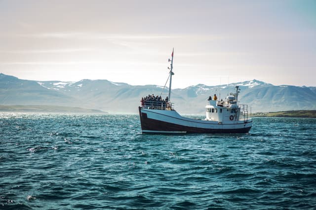 Icelandic fishing boat for whale watching. icelandic-fishing-boat-whale-watching