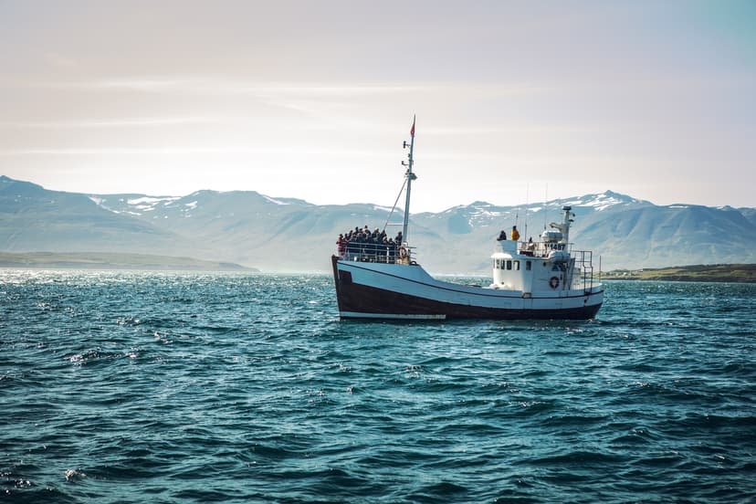Icelandic fishing boat for whale watching. icelandic-fishing-boat-whale-watching