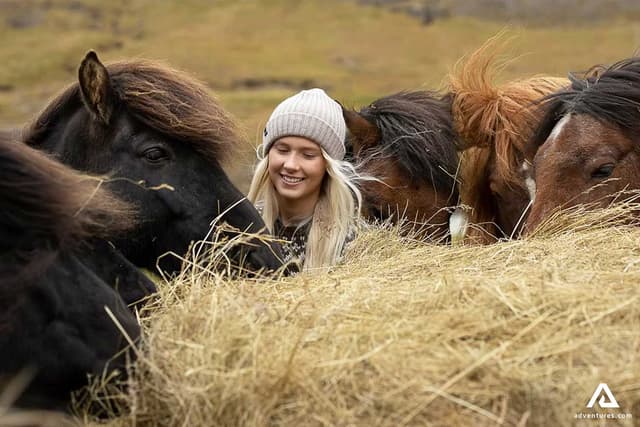 beautiful-blond-icelandic-woman-surrounded-by-horses-and-hay-on-a-horse-riding-tour-in-east-iceland