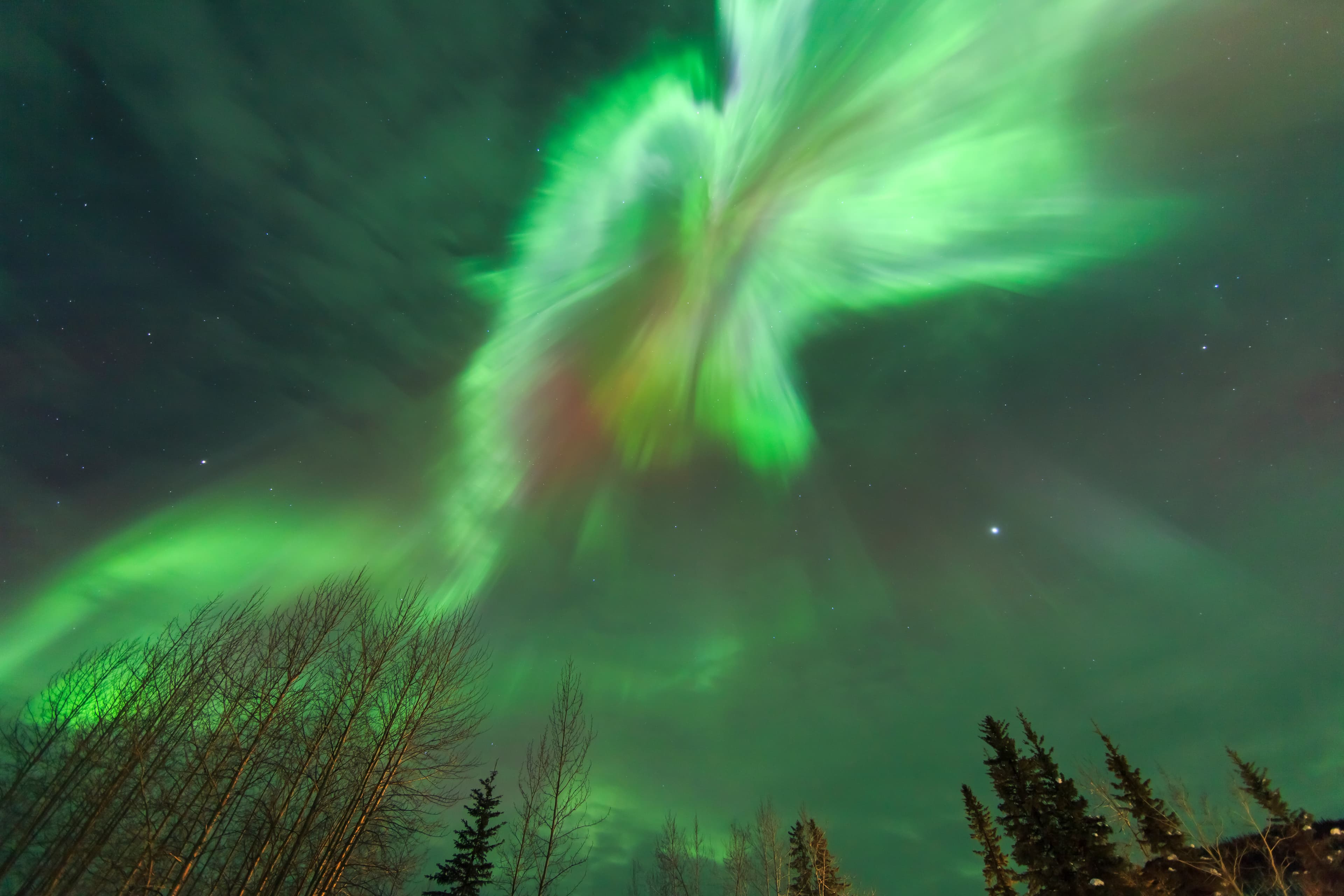 Viewing straight up at Corona, explosion of light, Aurora borealis, northern lights, near Fairbanks, Alaska Viewing straight up at Corona, explosion of light, Aurora borealis, northern lights, near Fairbanks, Alaska