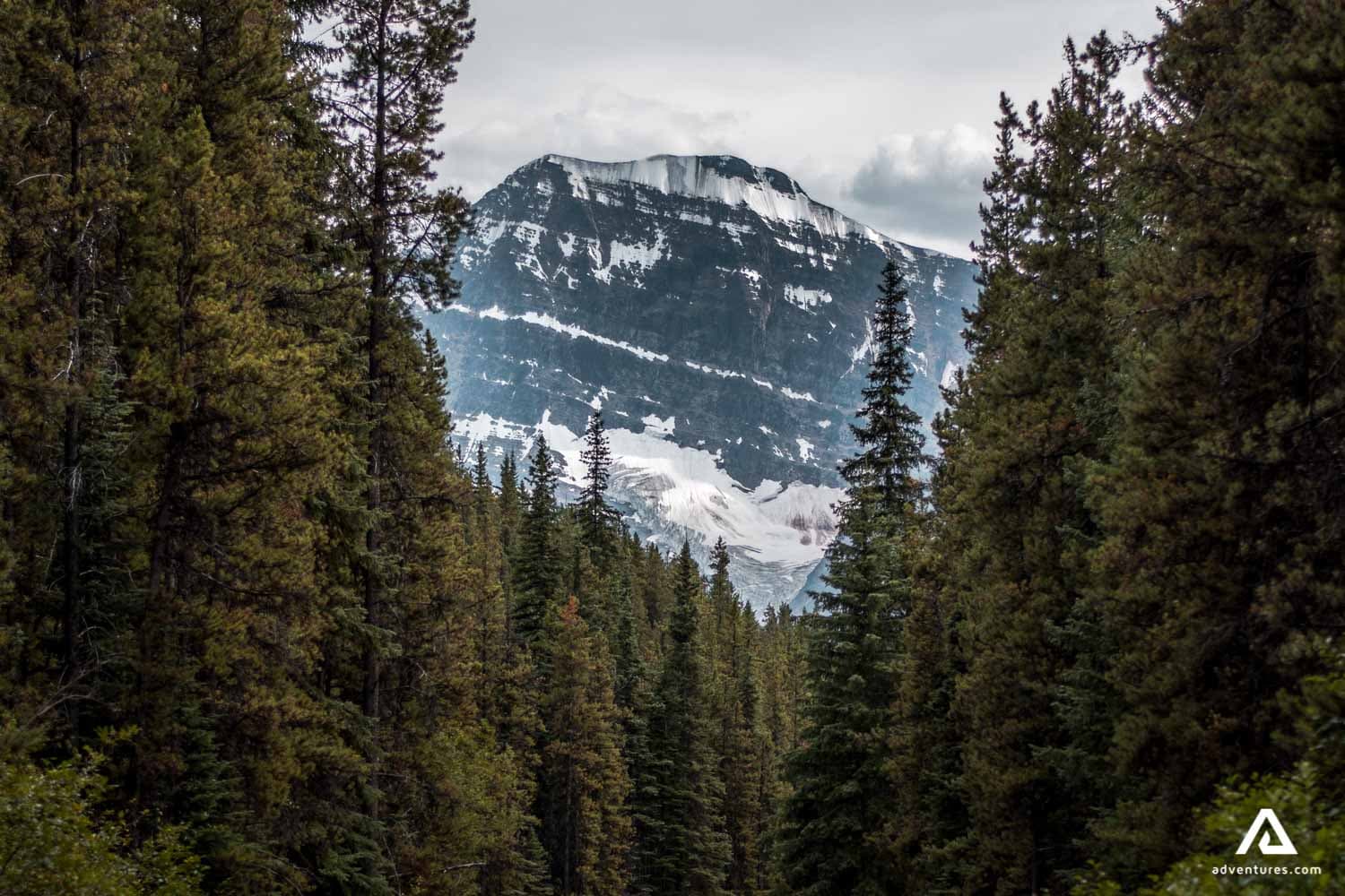 jasper-national-park-canada-landscape-mountain-peak-clear-sky-mount-edith-cavell-road-forest-1