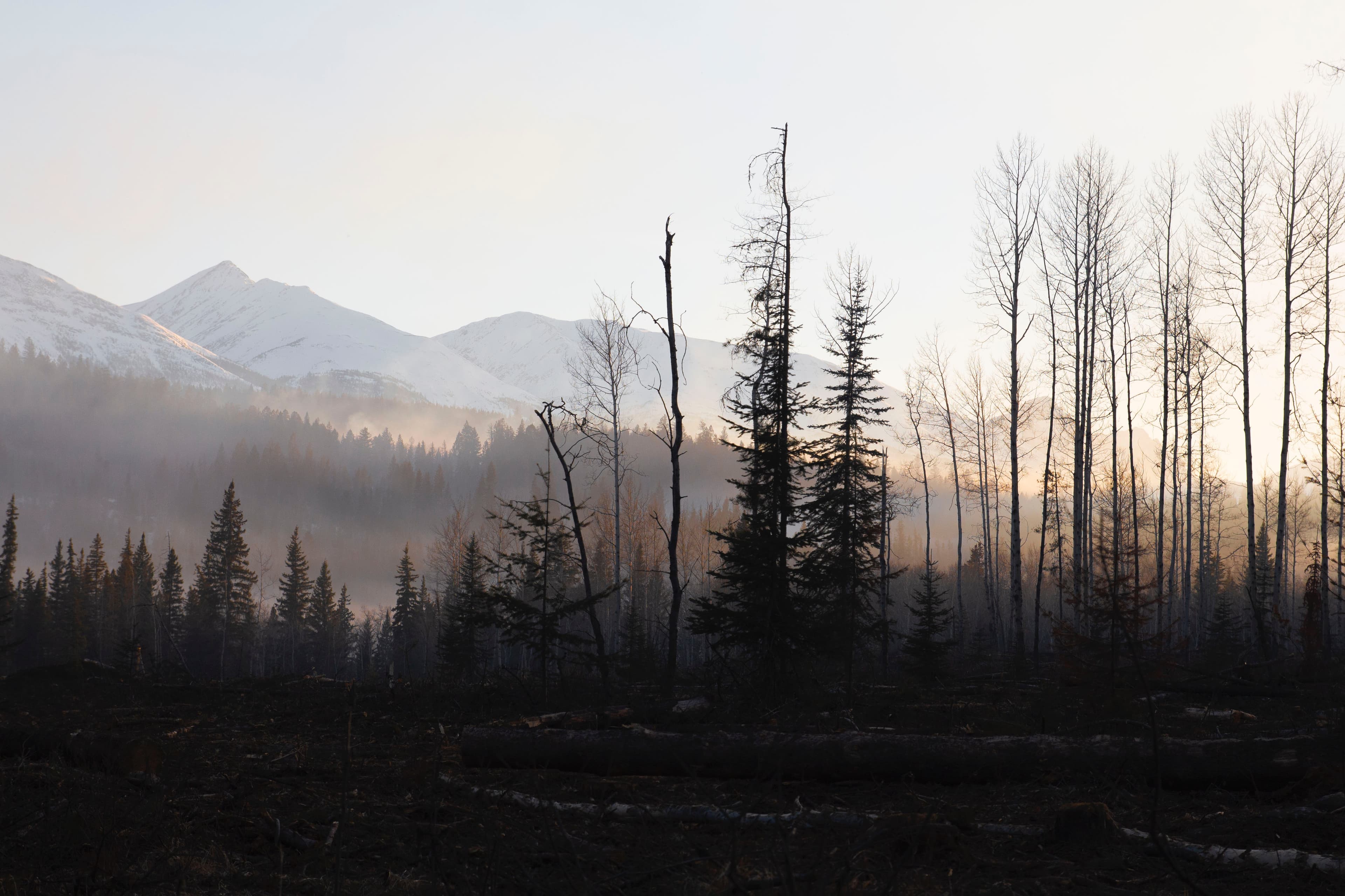 British Columbia Region 4