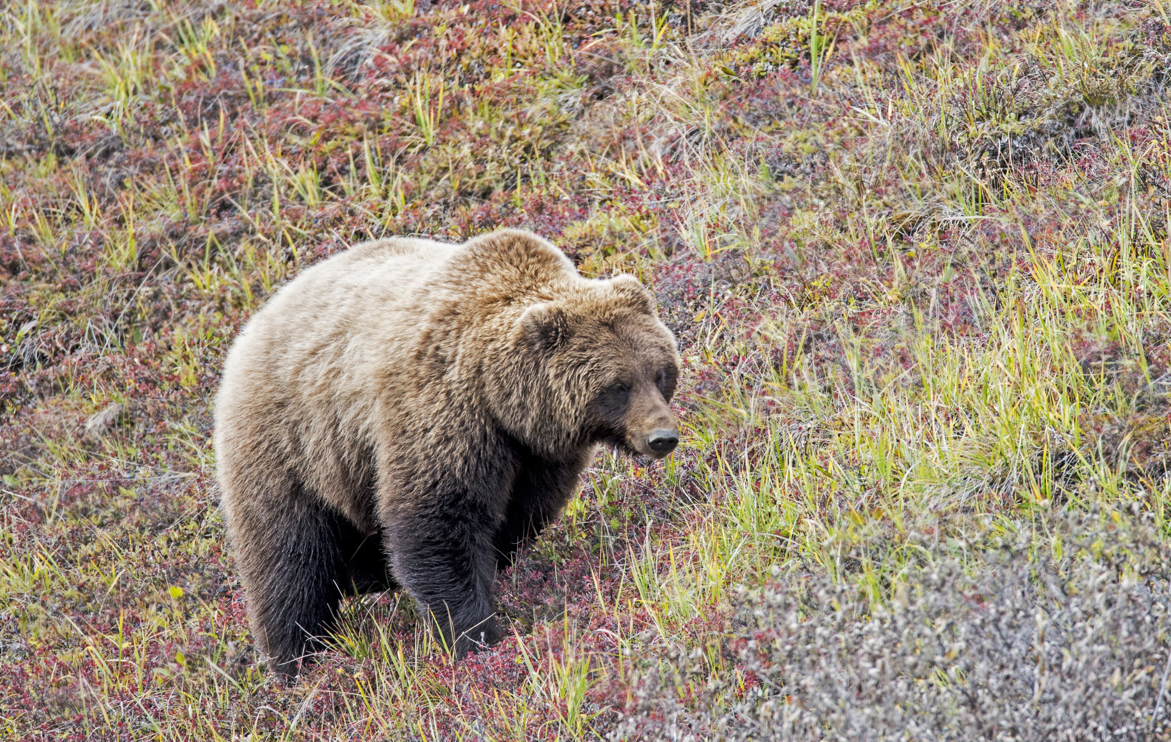 British Columbia Region 07