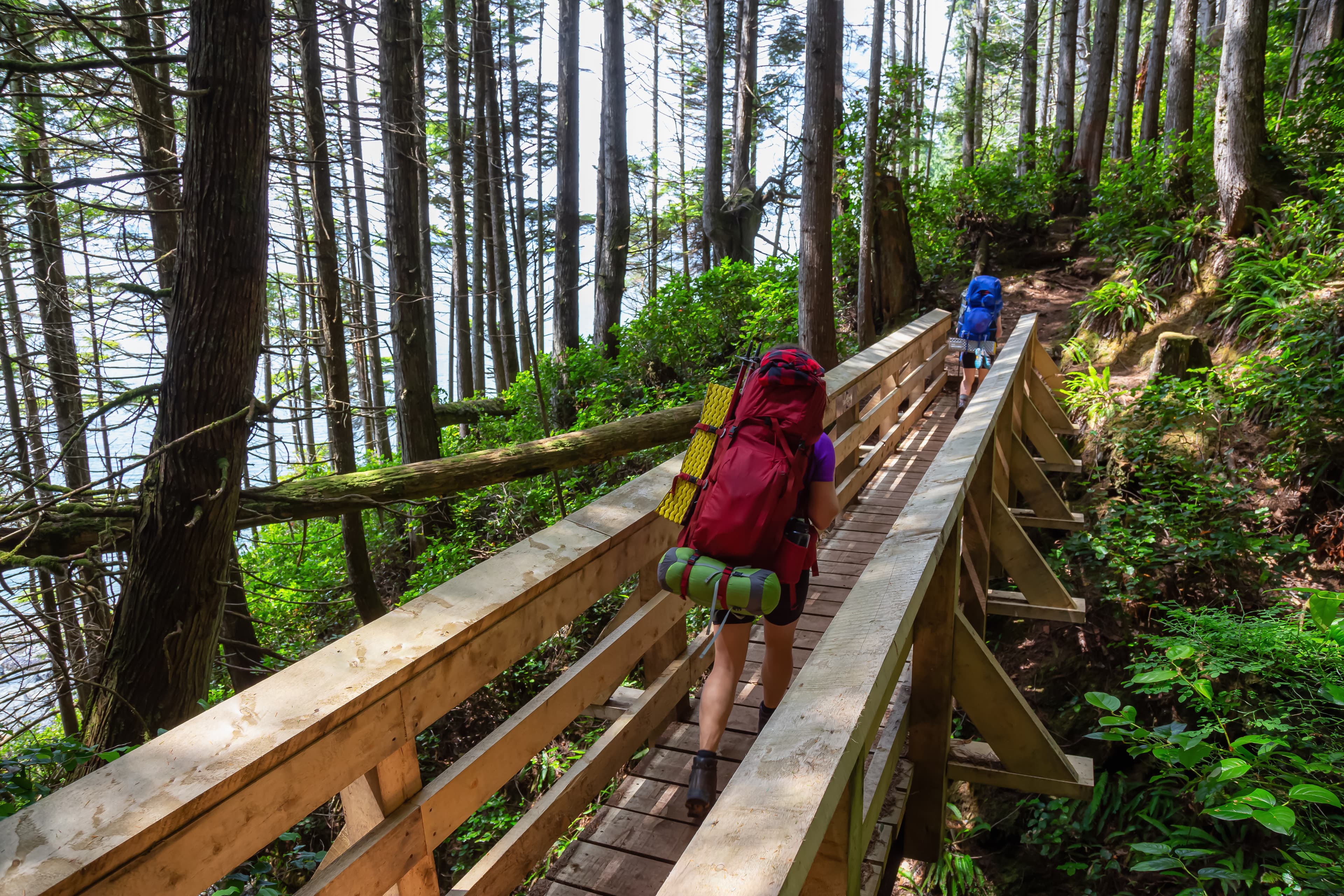 Adventurous female is hiking Juan de Fuca Trail near Mystic Beach on the Pacific Ocean Coast during a sunny summer day. Taken near Port Renfrew, Vancouver Island, BC, Canada. Adventurous female is hiking Juan de Fuca Trail near Mystic Beach on the Pacific Ocean Coast during a sunny summer day. Taken near Port Renfrew, Vancouver Island, BC, Canada.