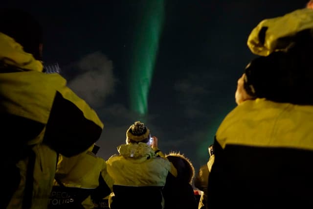 Northern lights by boat Special tours 76