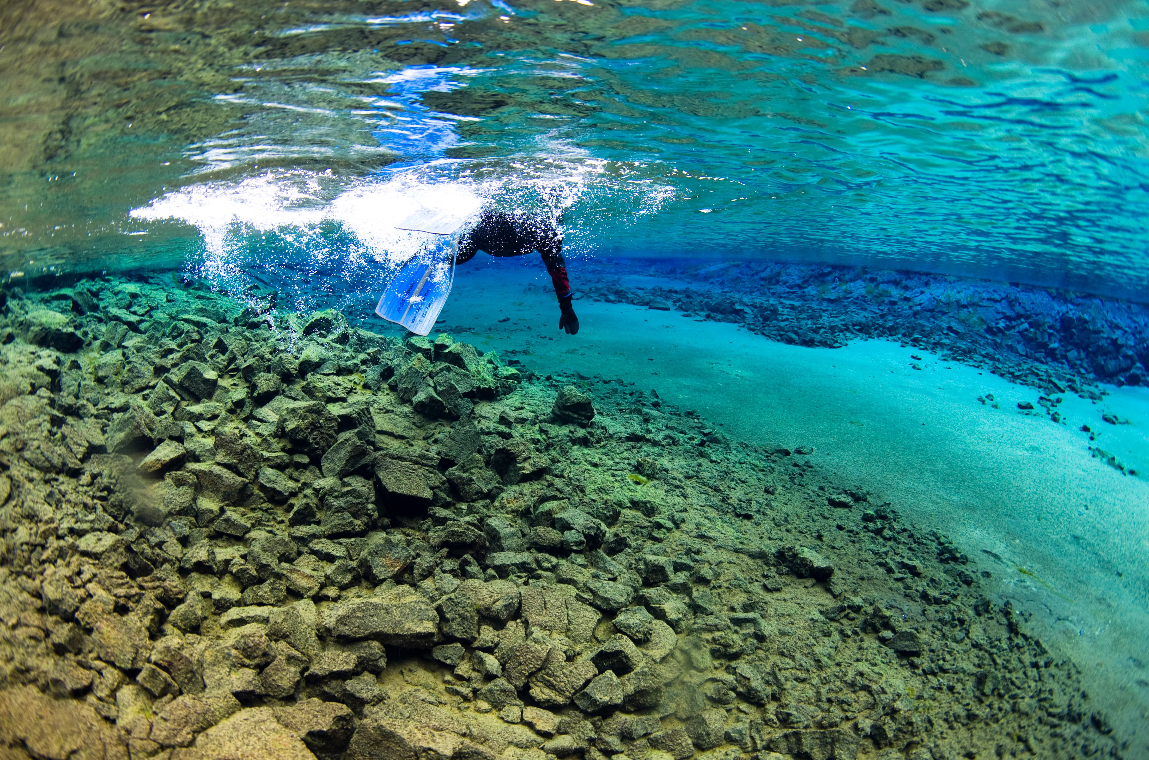Snorkeling -Into the Blue 11 ellithor.com